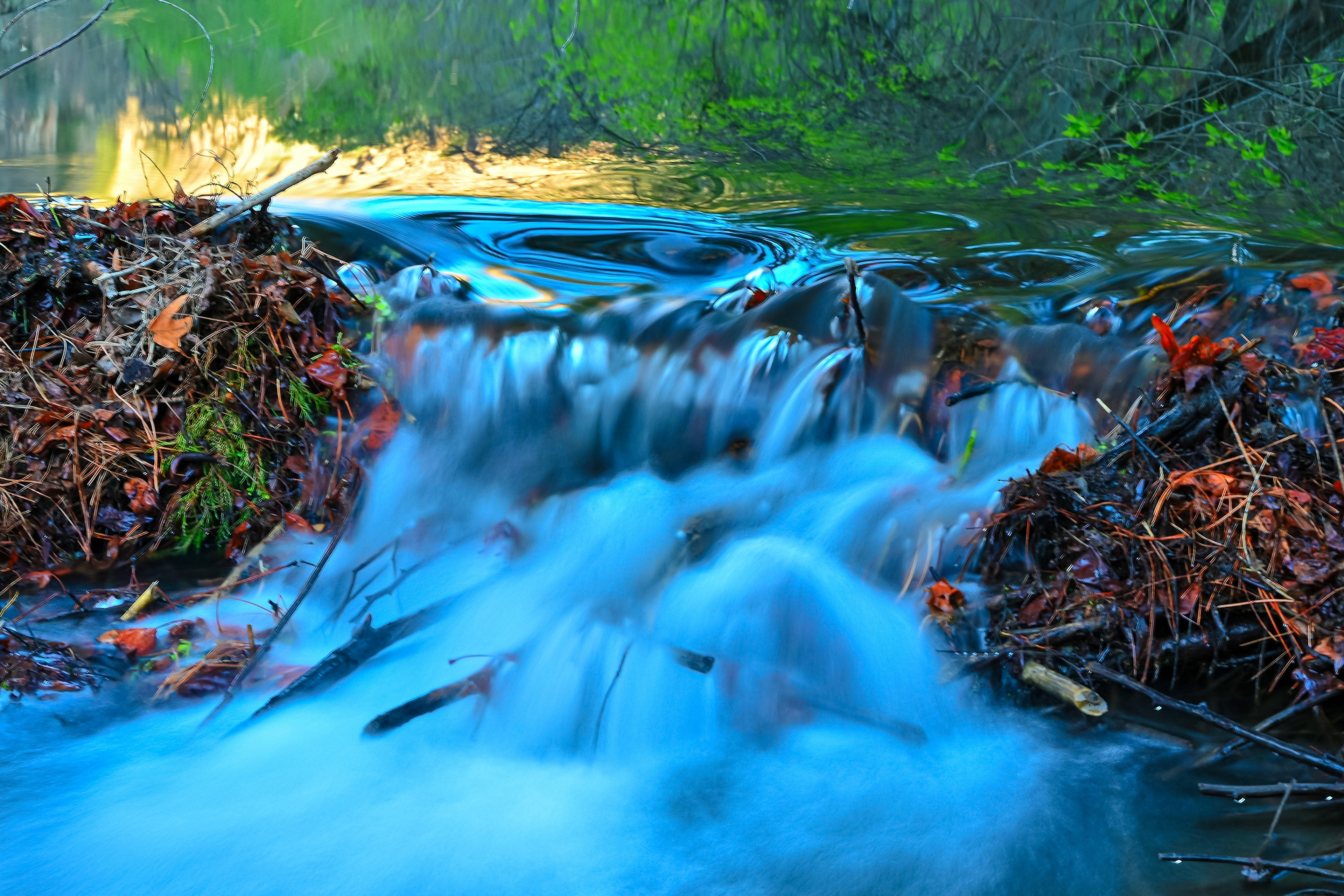 Water Features