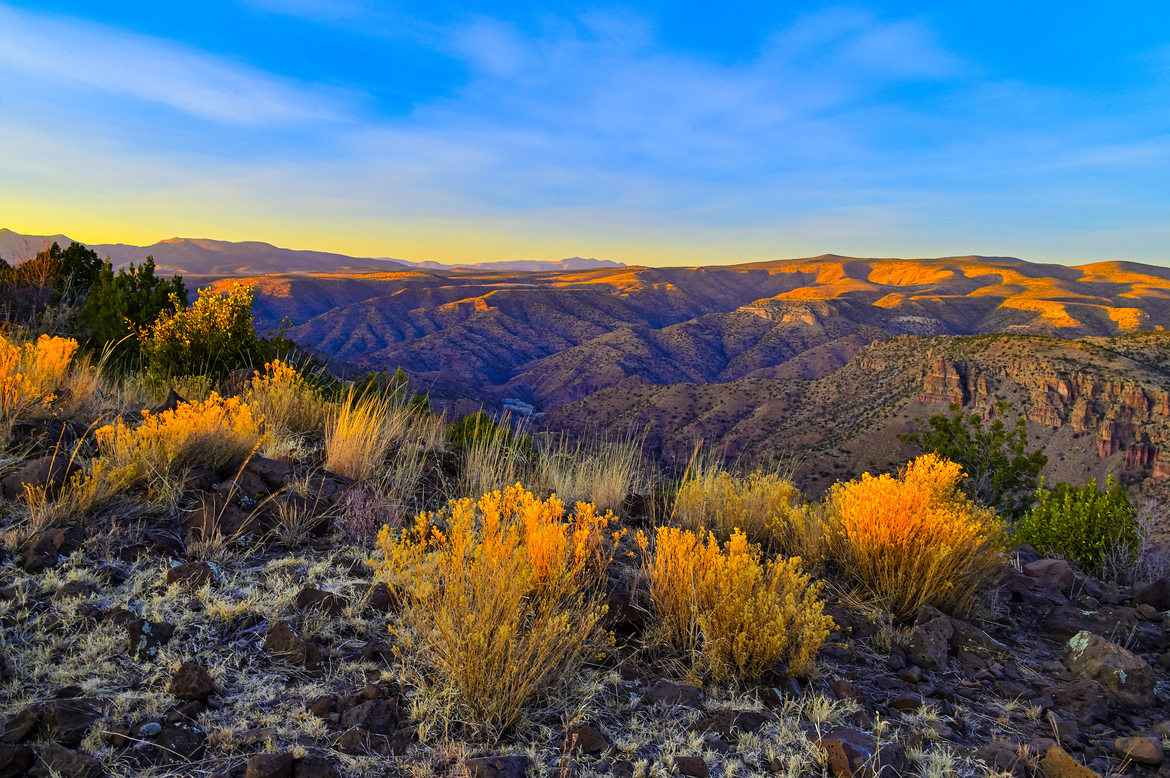 Mule Creek Canyon, Southwest New Mexico