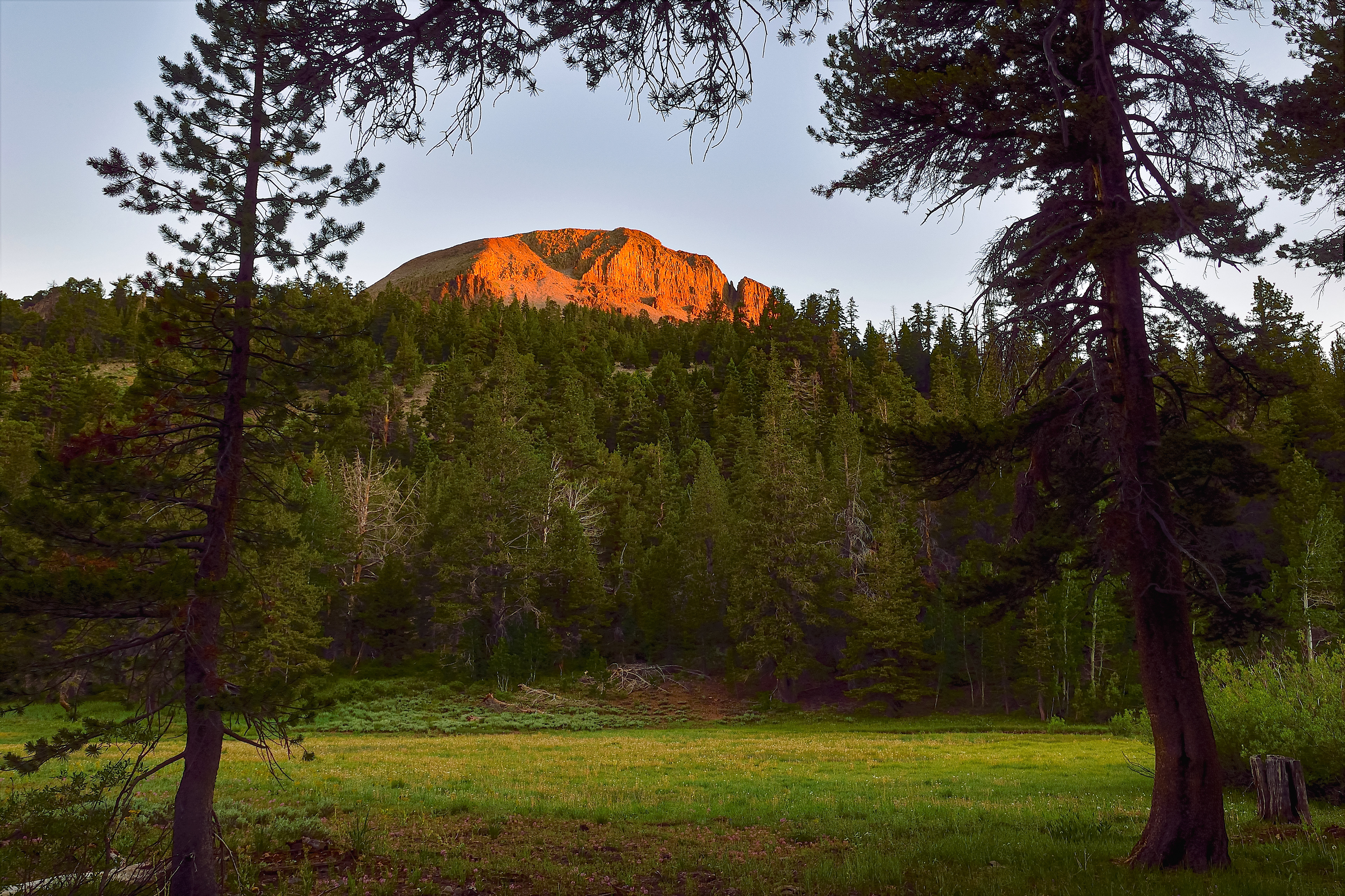 Sunrise, Upper Wolf Creek Meadow, California