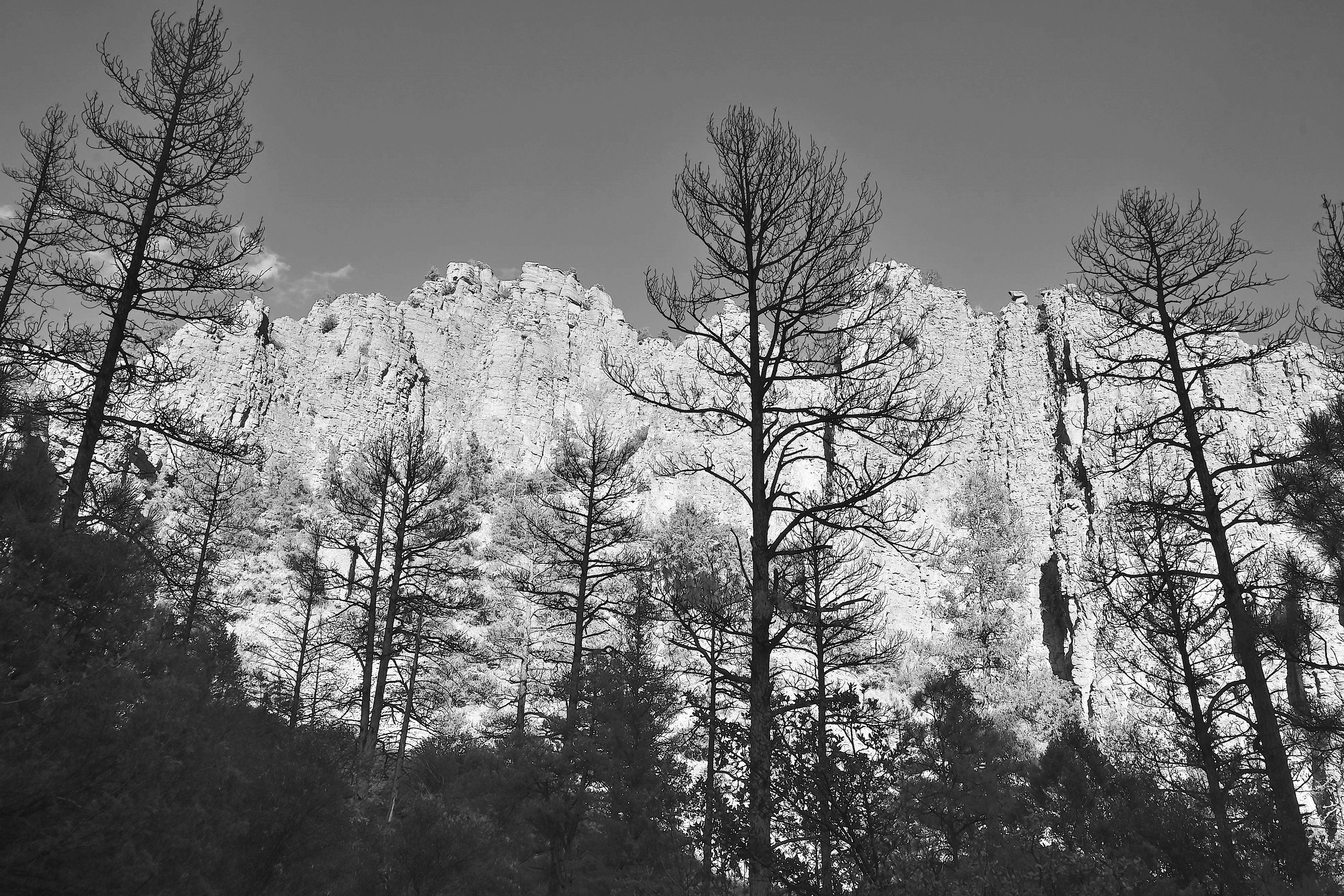Gila Wilderness, New Mexico