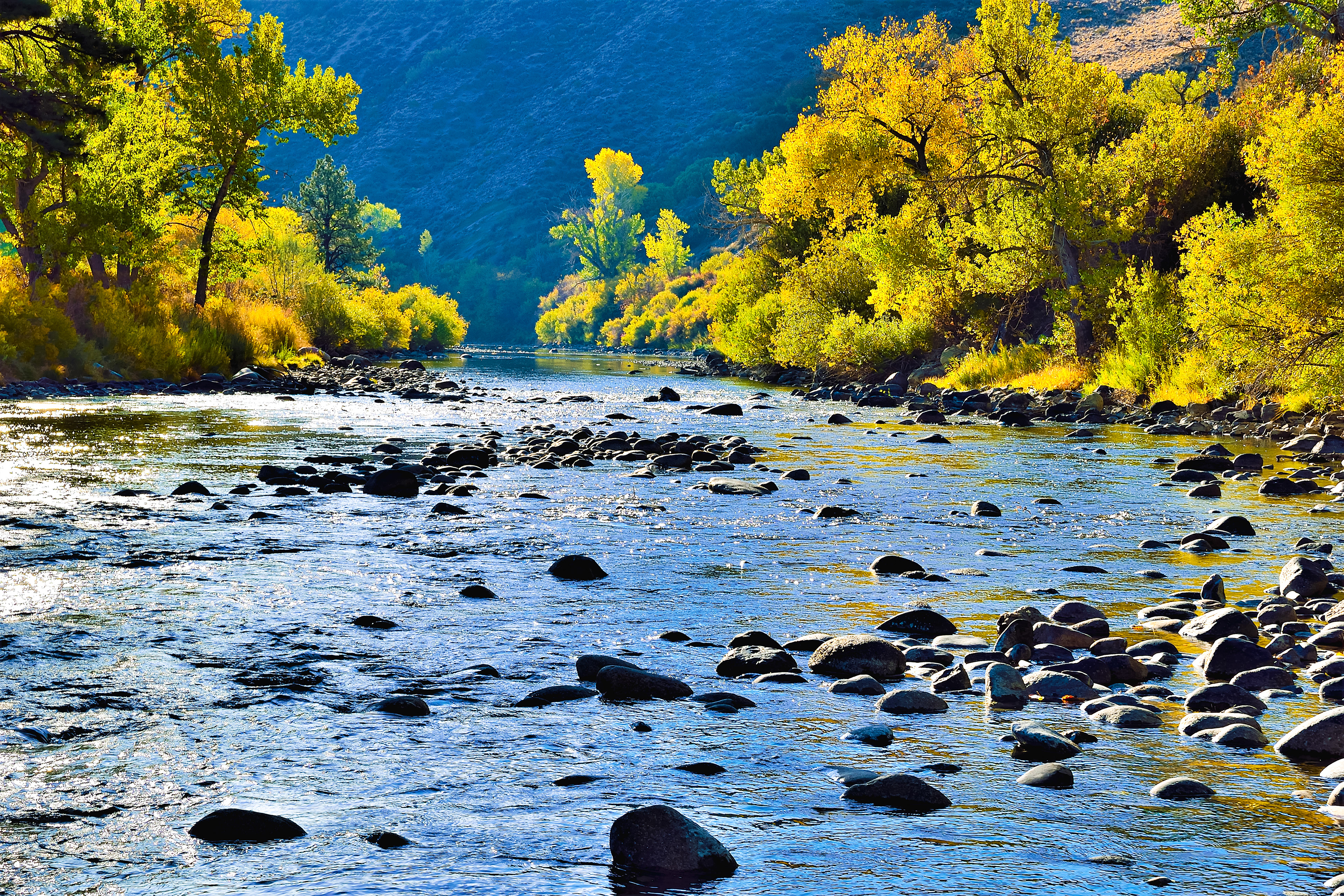 Truckee River Autumn