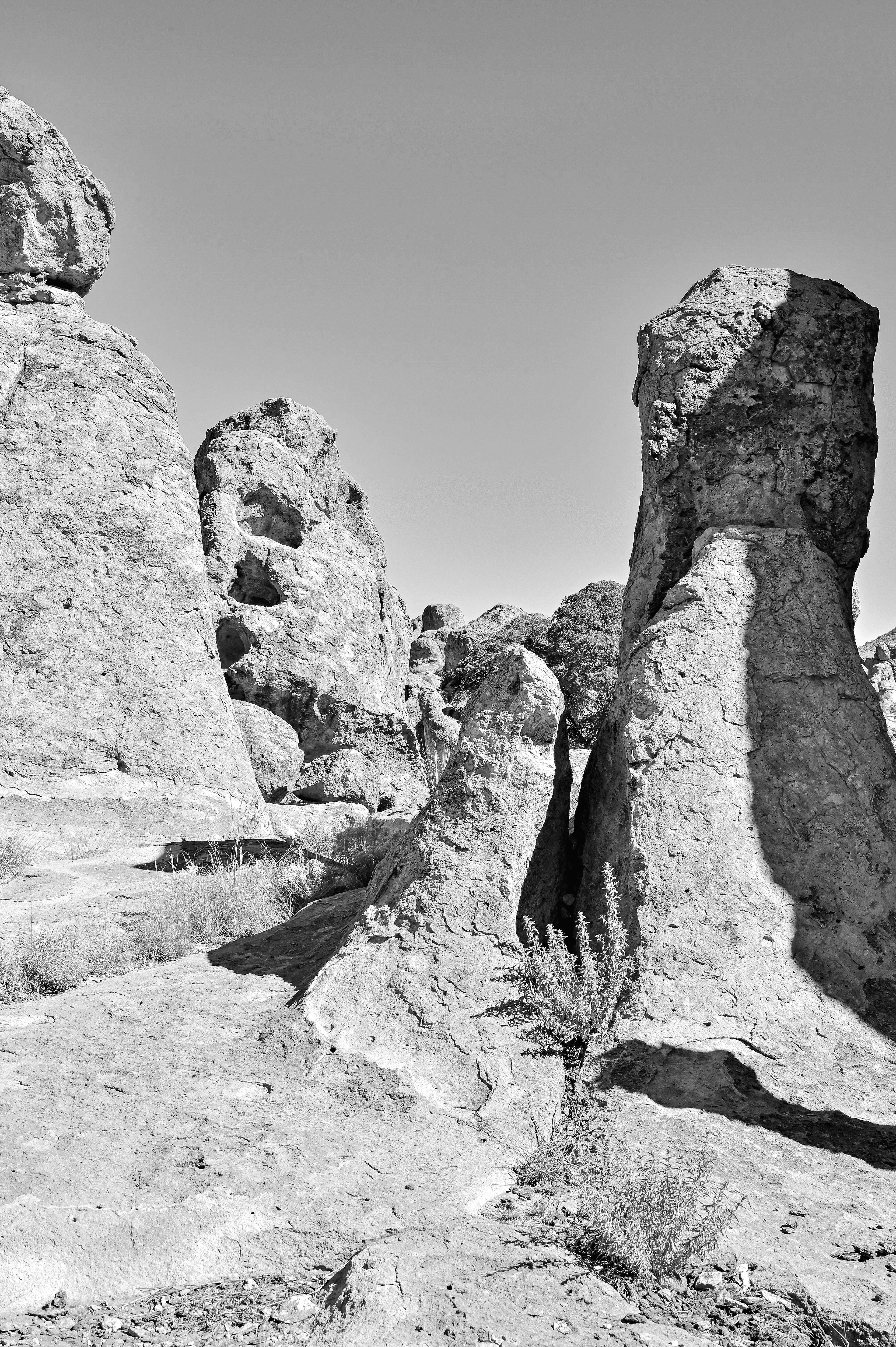 City of Rocks, Southwest New Mexico