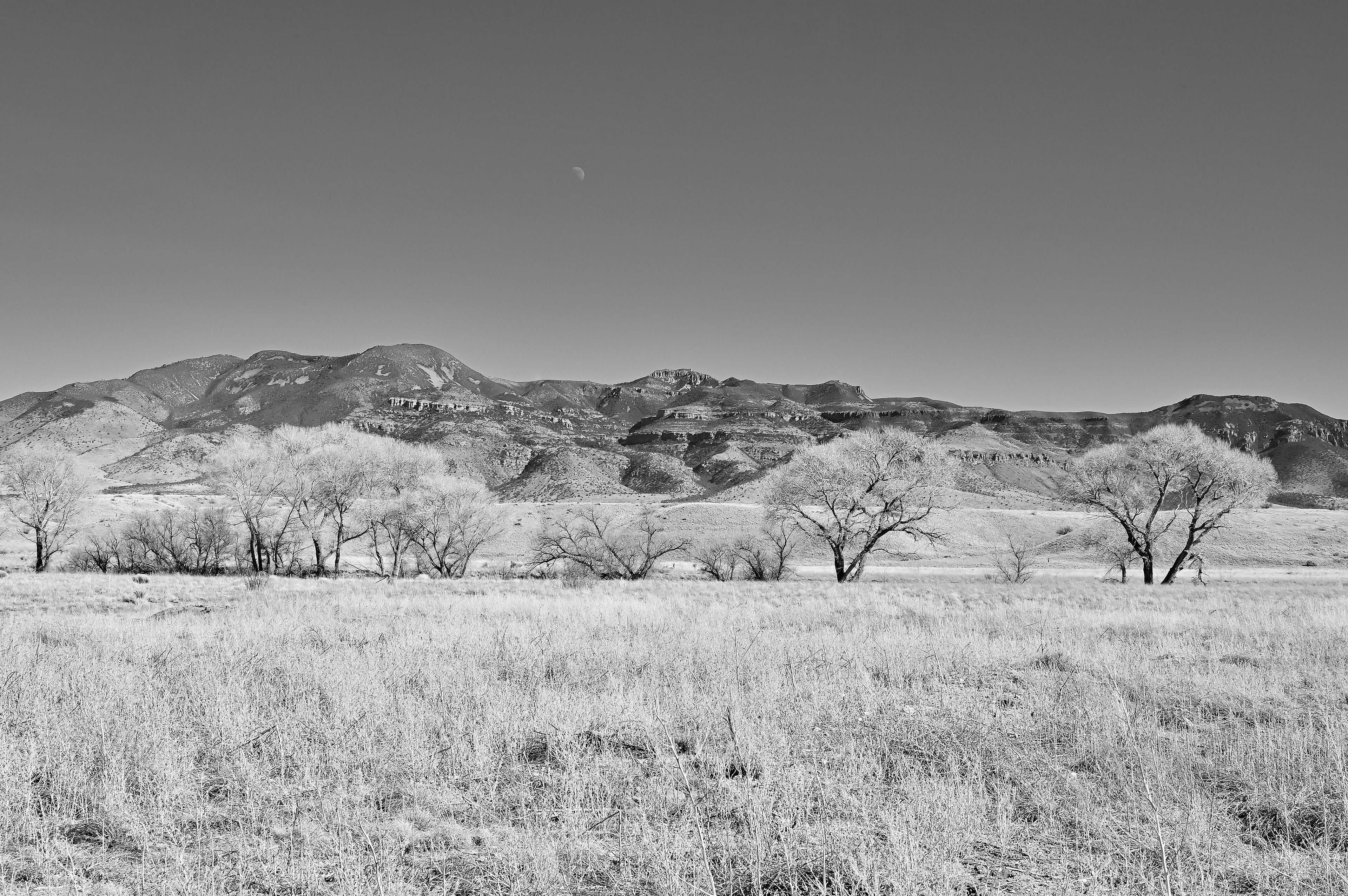 Animas Valley, New Mexico Bootheel
