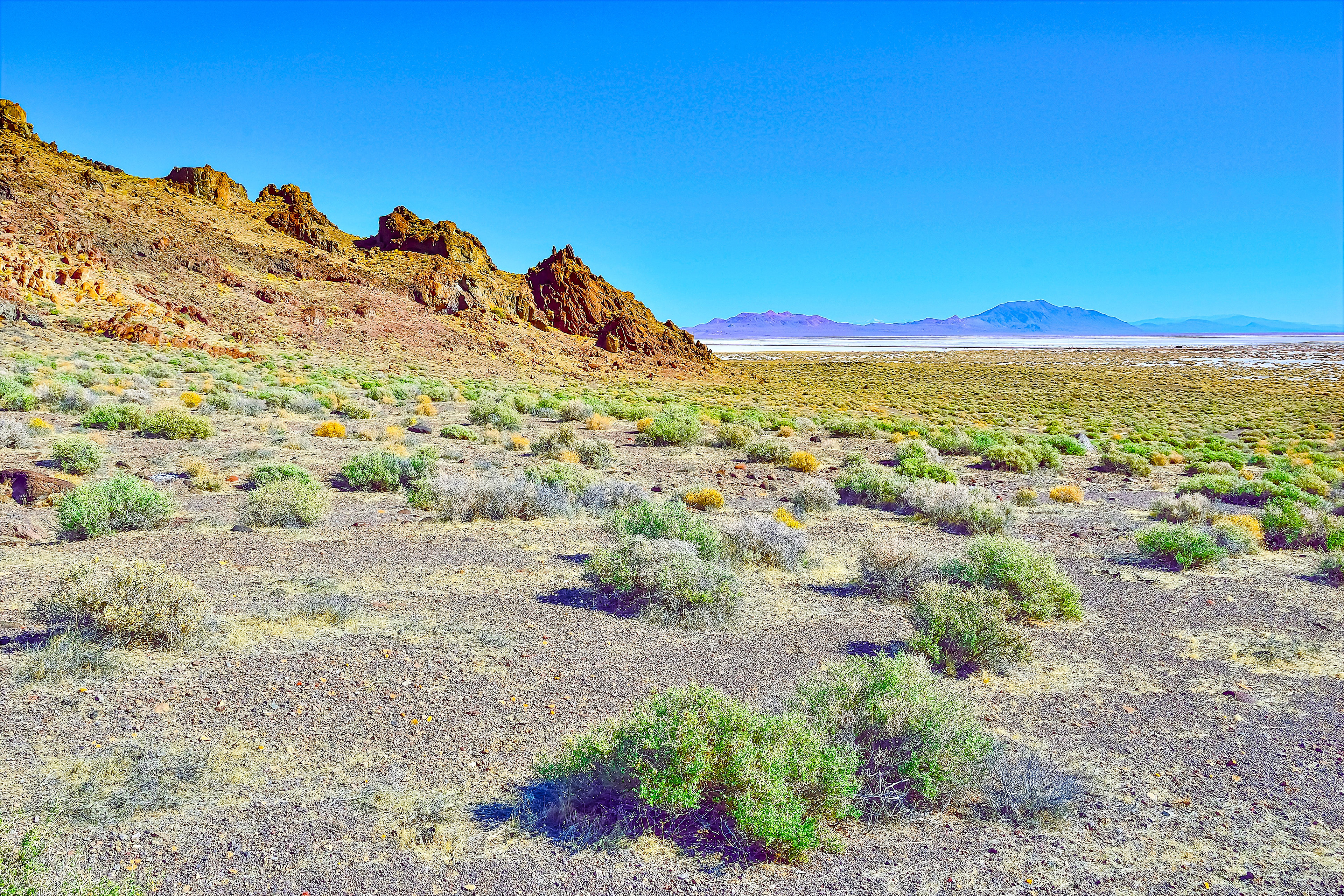 Carson Sink, Nevada