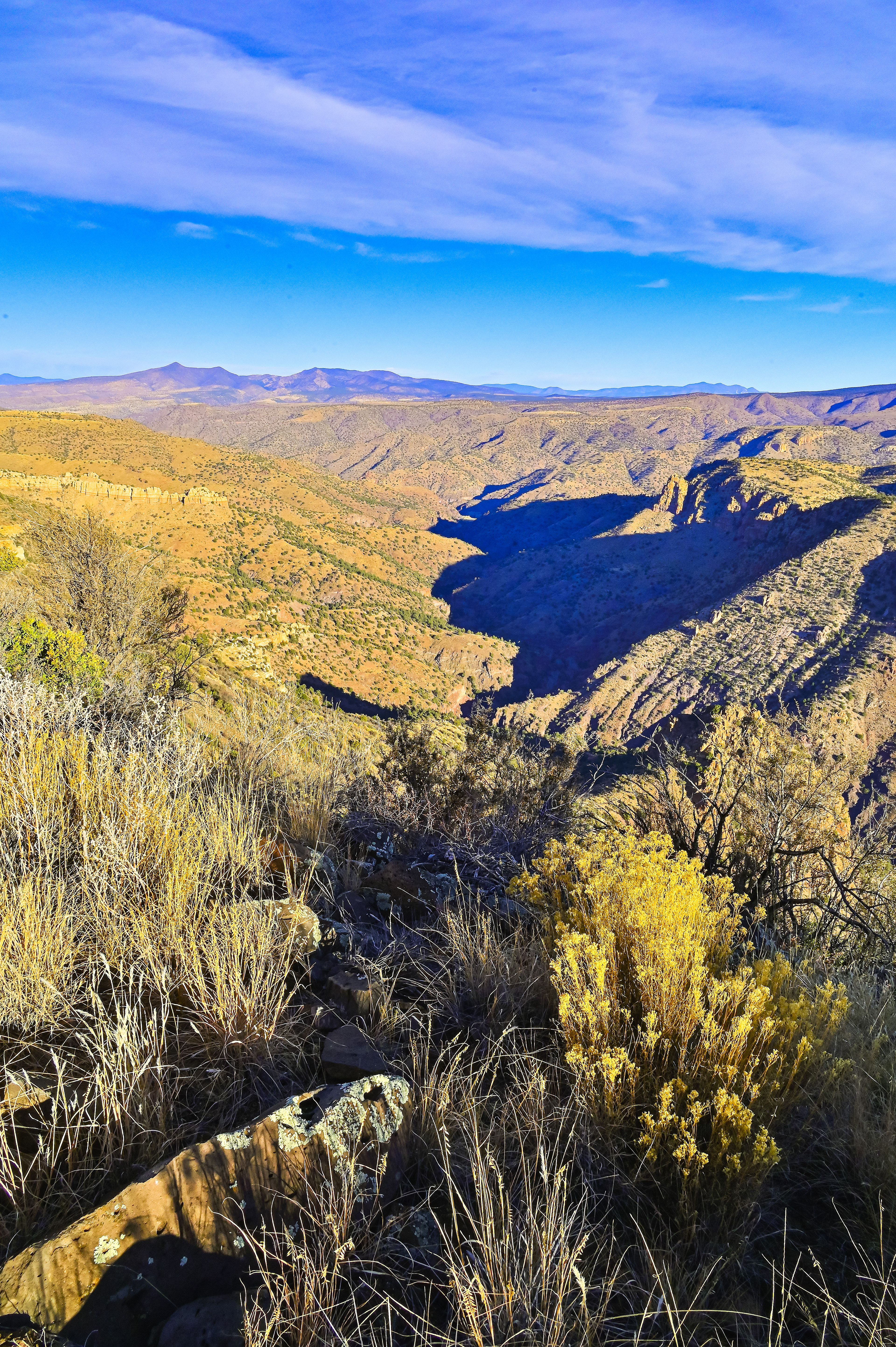Shadows in the Canyon