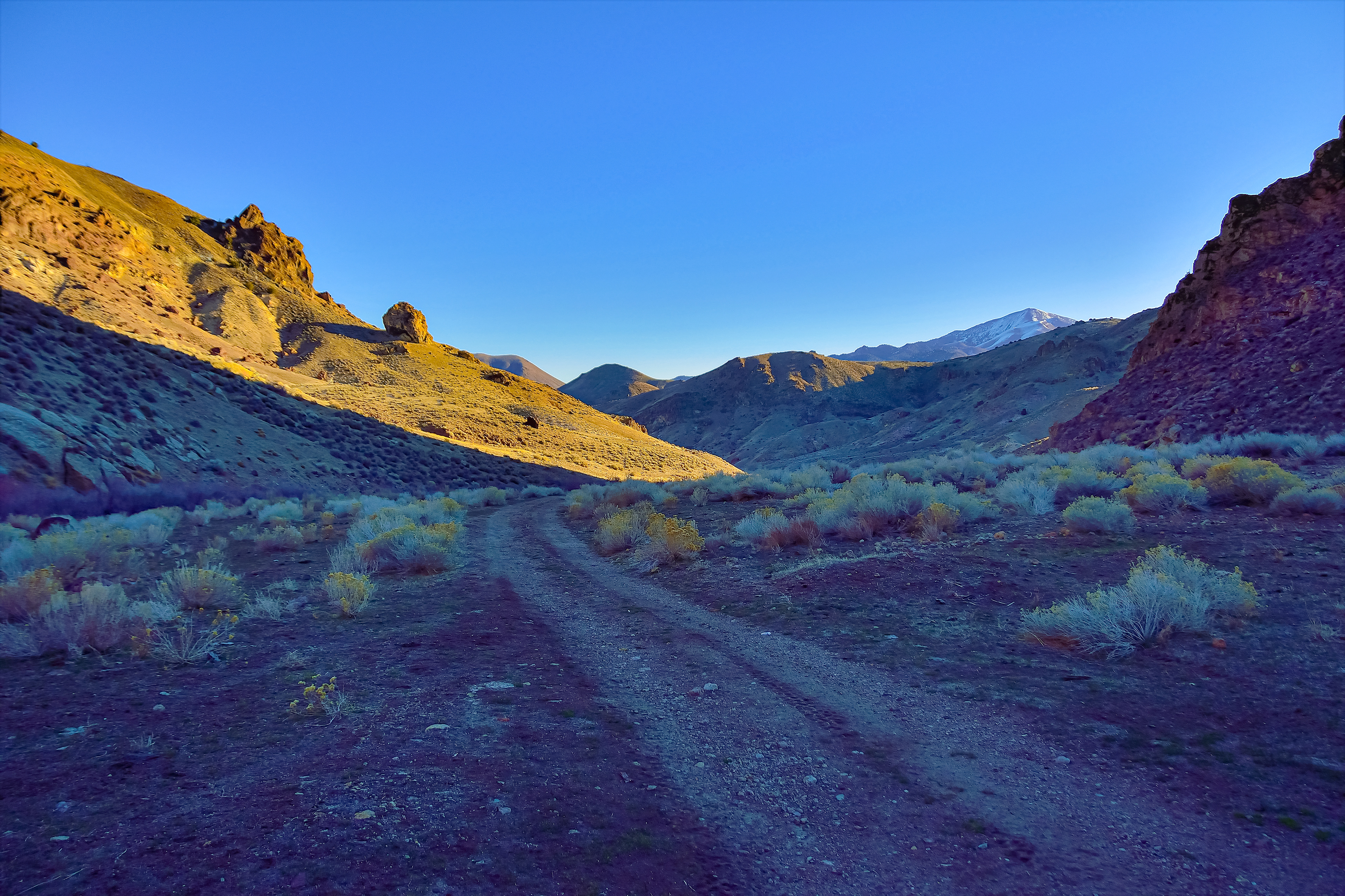 Morning in Cow Canyon, Central Nevada