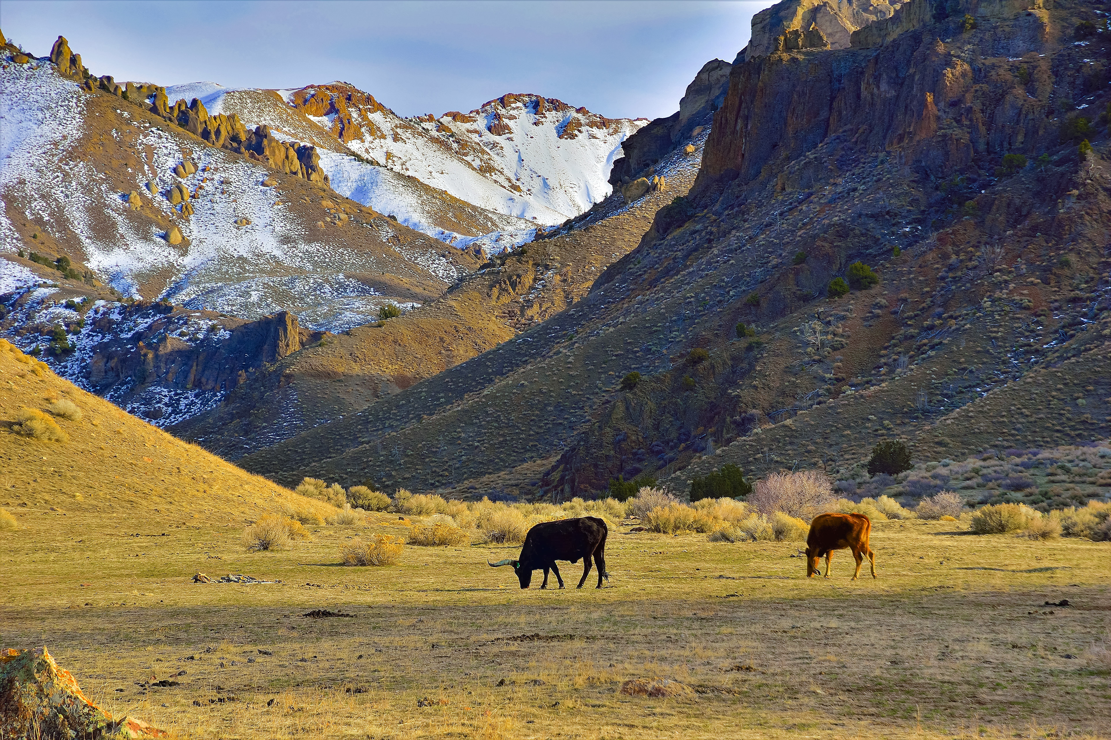 Deep Canyon, Central Nevada