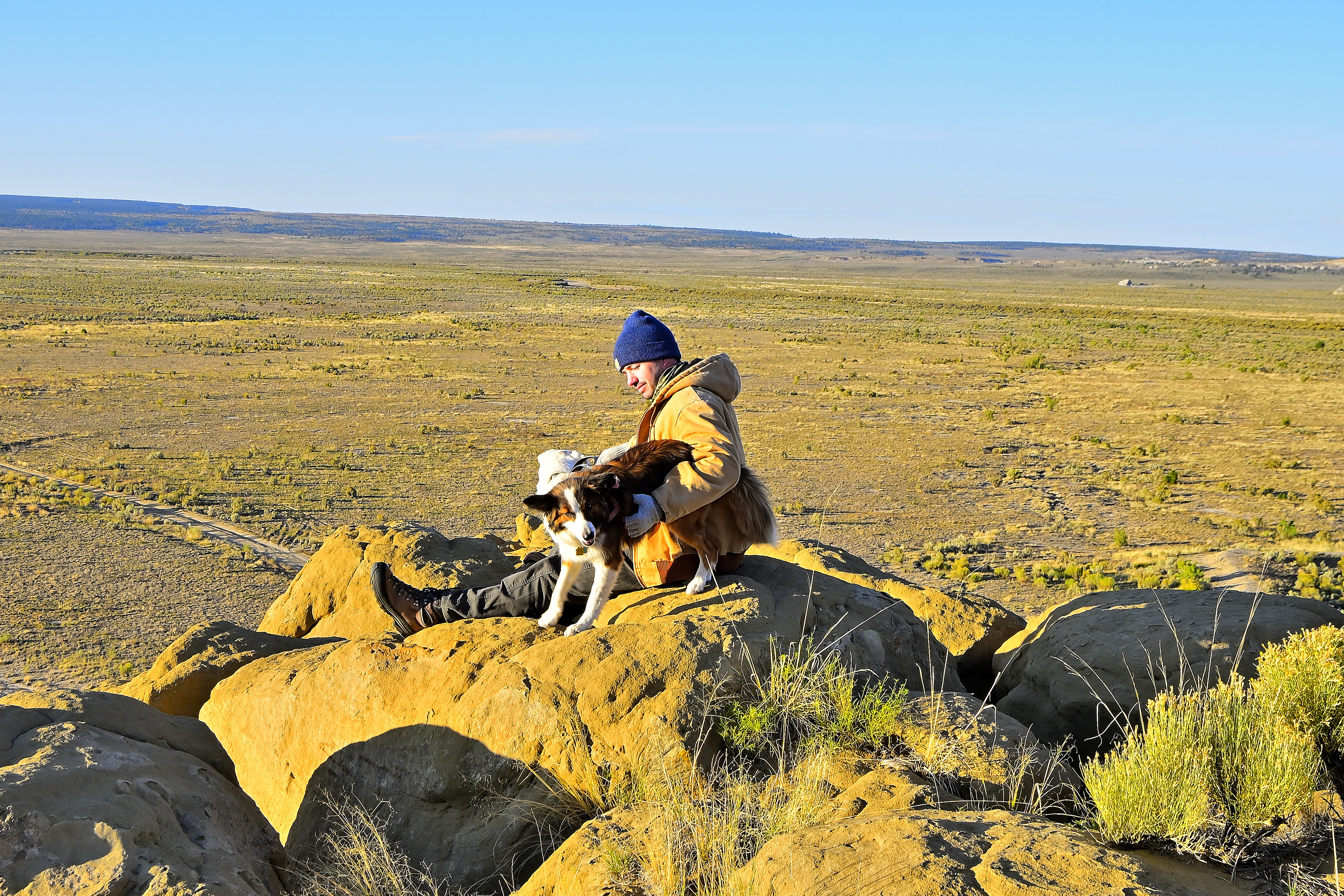 San Juan Basin Badlands, New Mexico