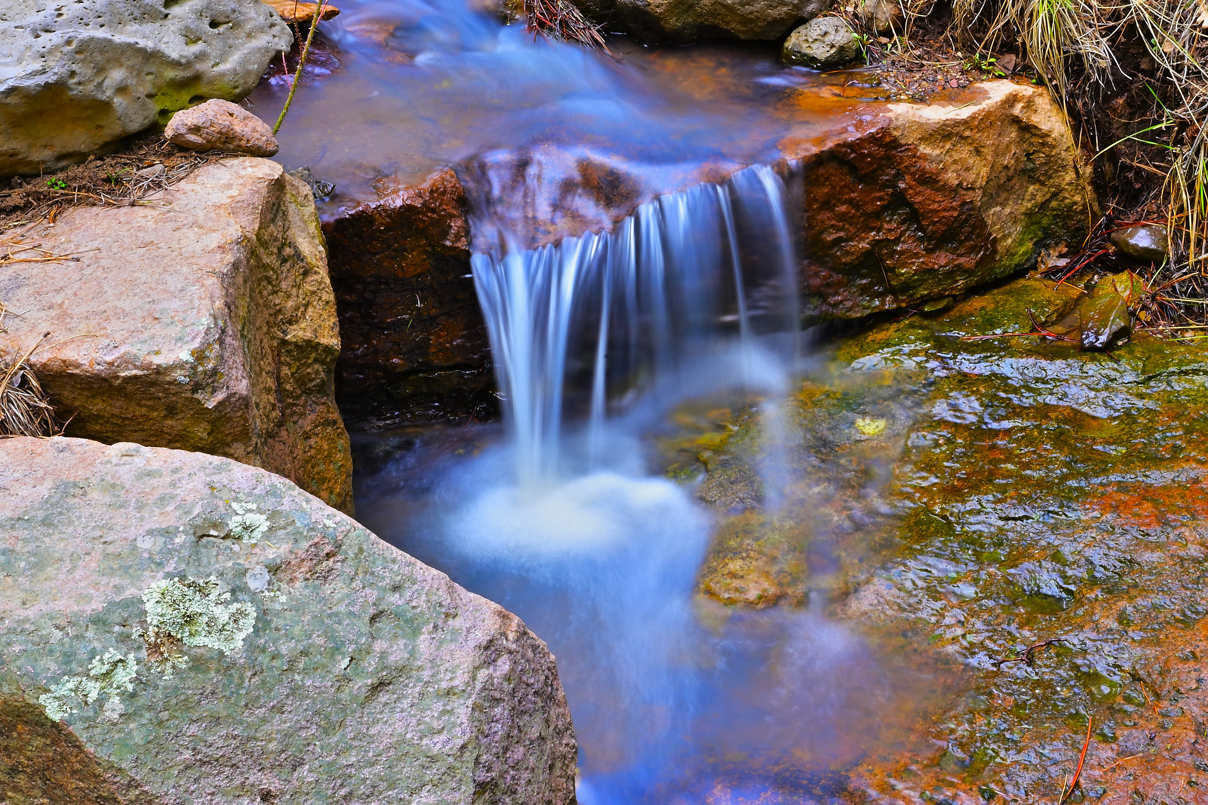 Cherry Creek, Gila National Forest, New Mexico