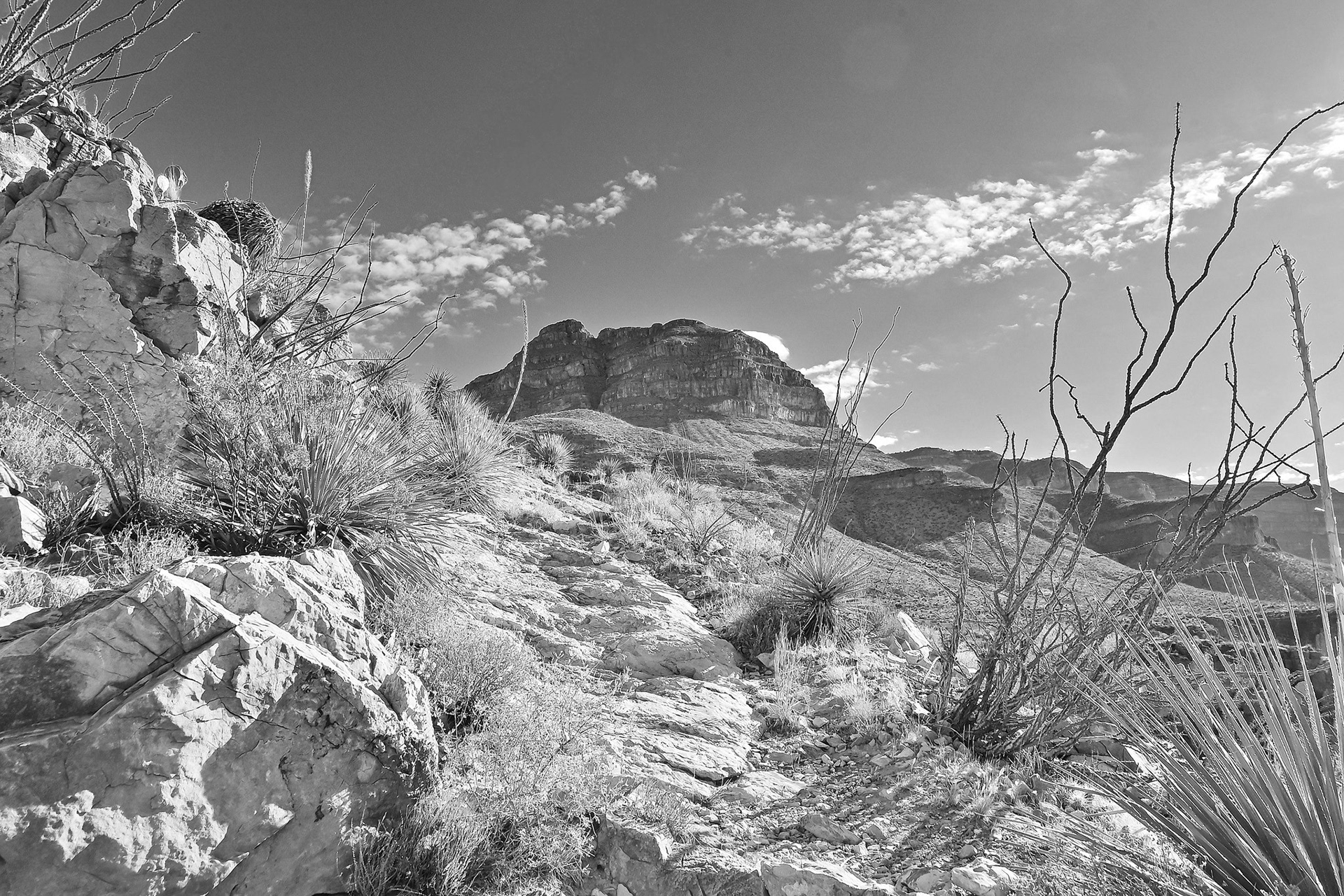 Sacramento Mountains, New Mexico
