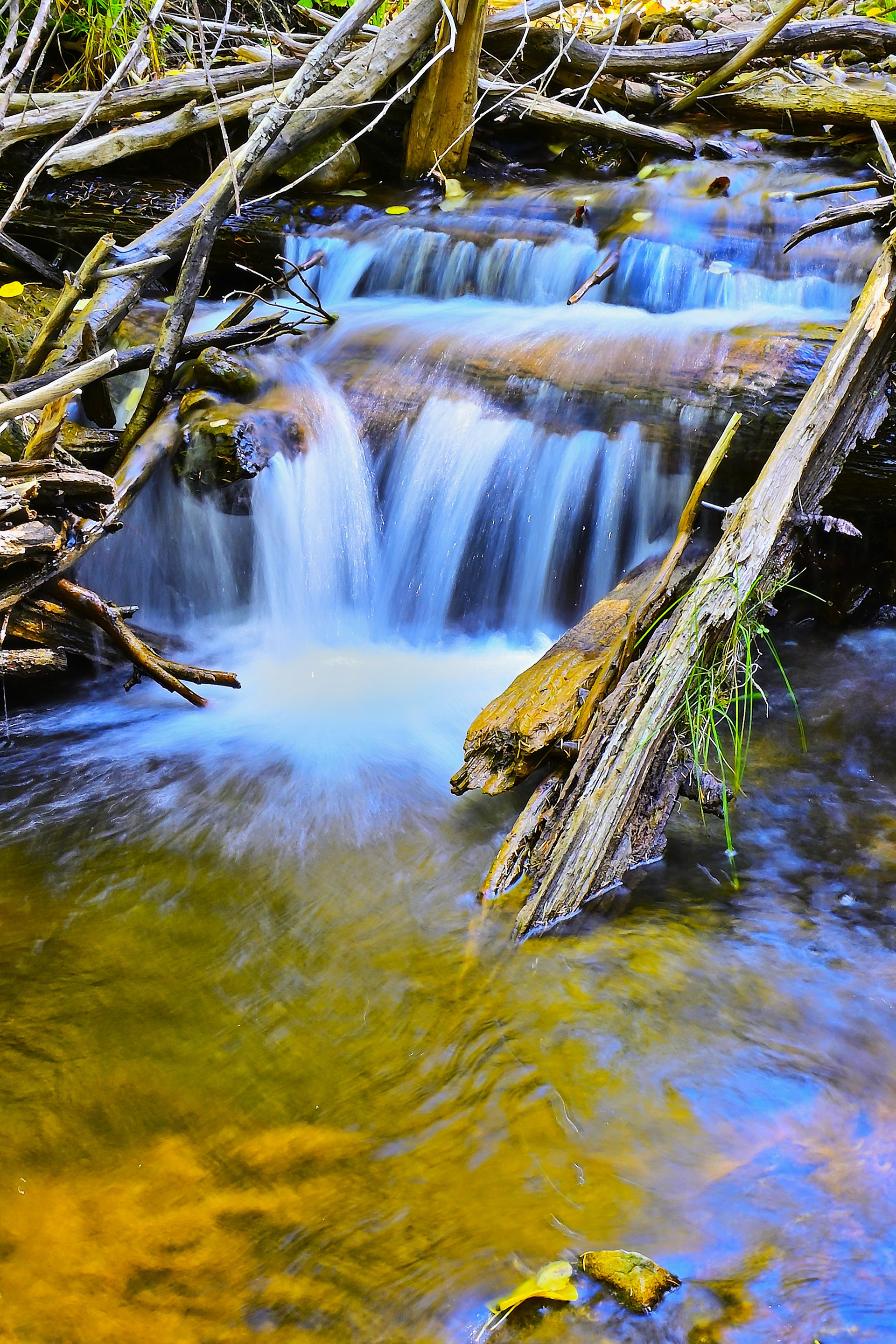 Headwaters, Rio Gallinas, New Mexico