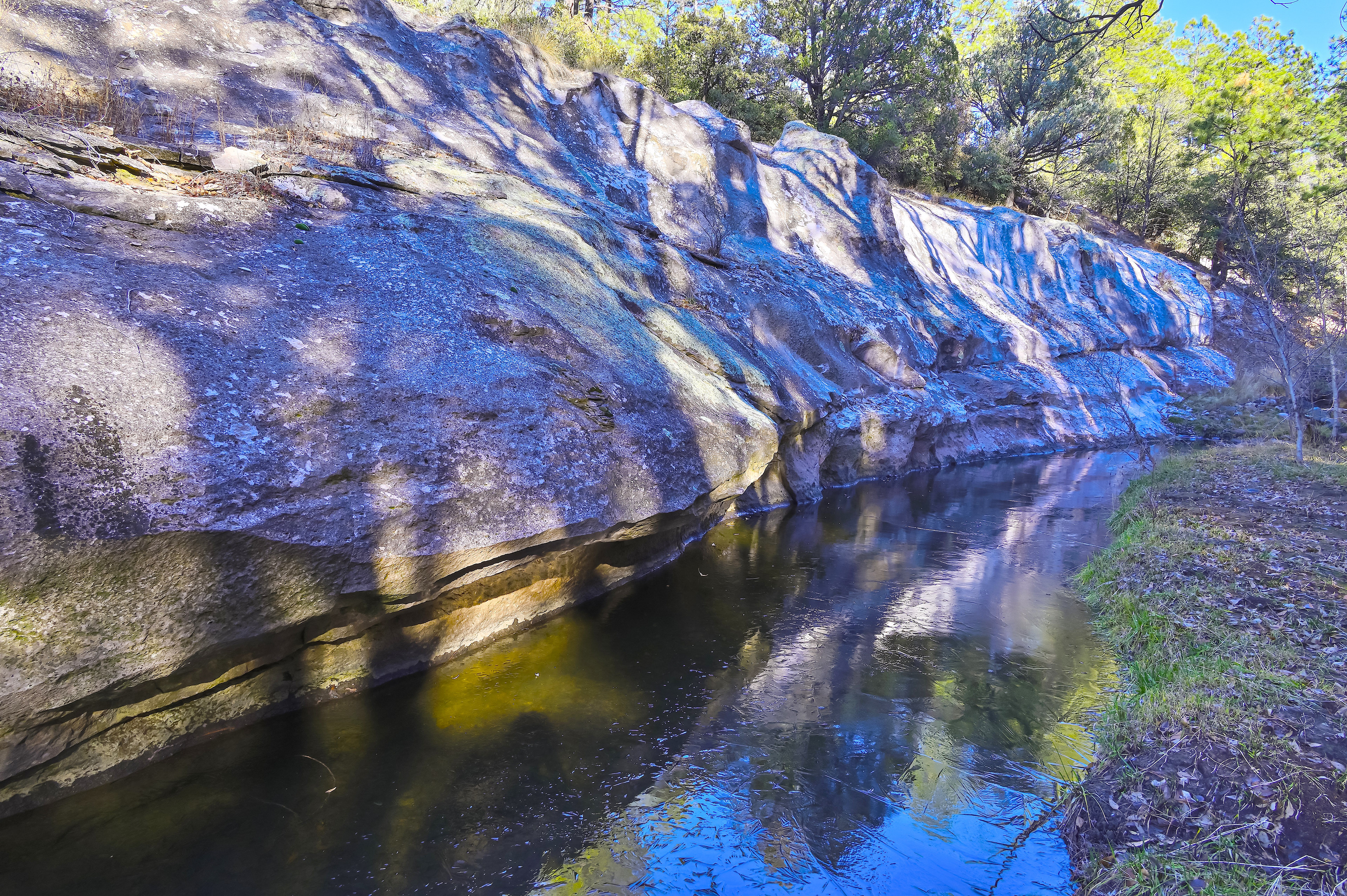 Along Bear Creek