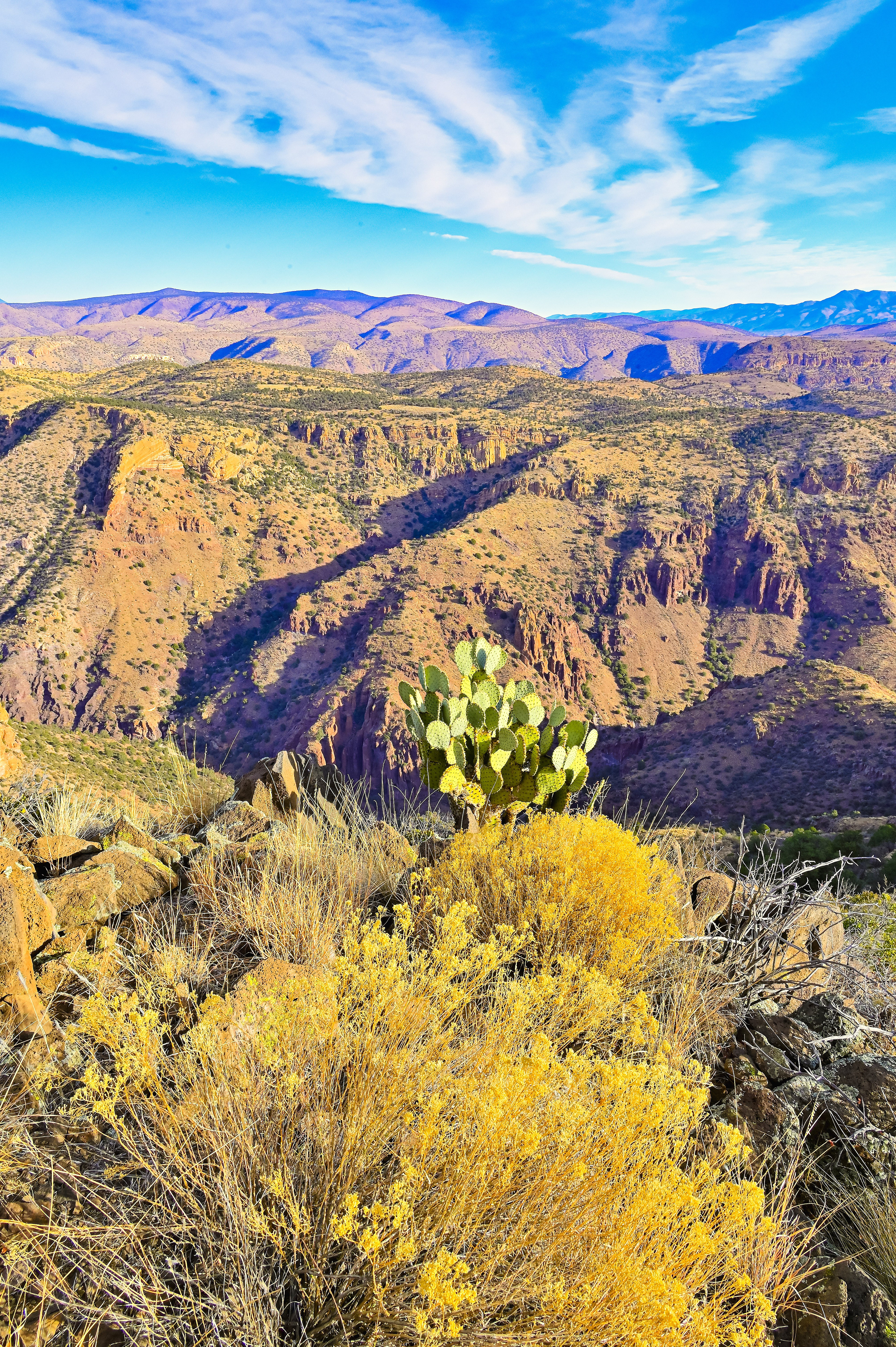 Canyon Scene