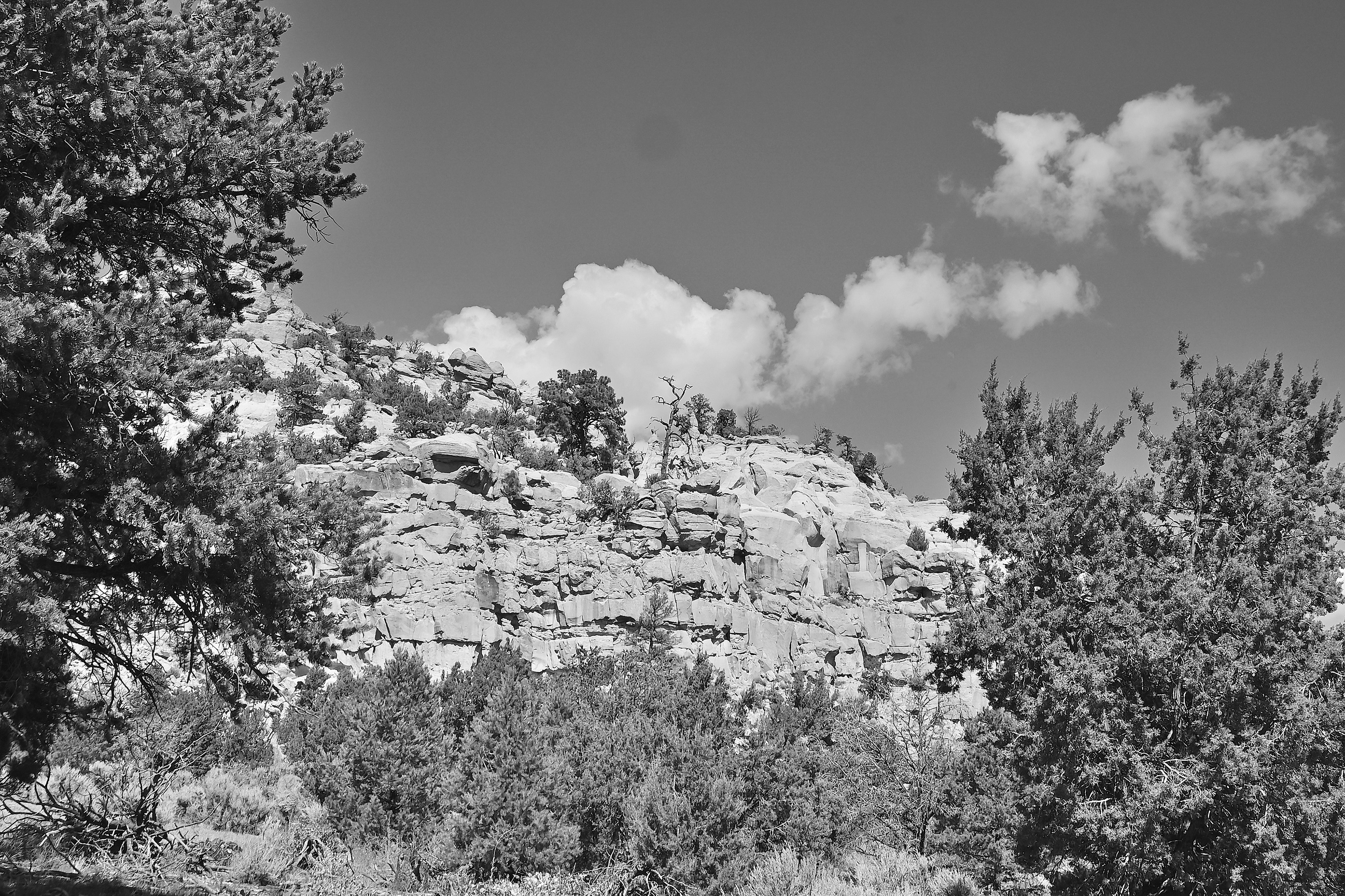 Santa Fe National Forest, New Mexico