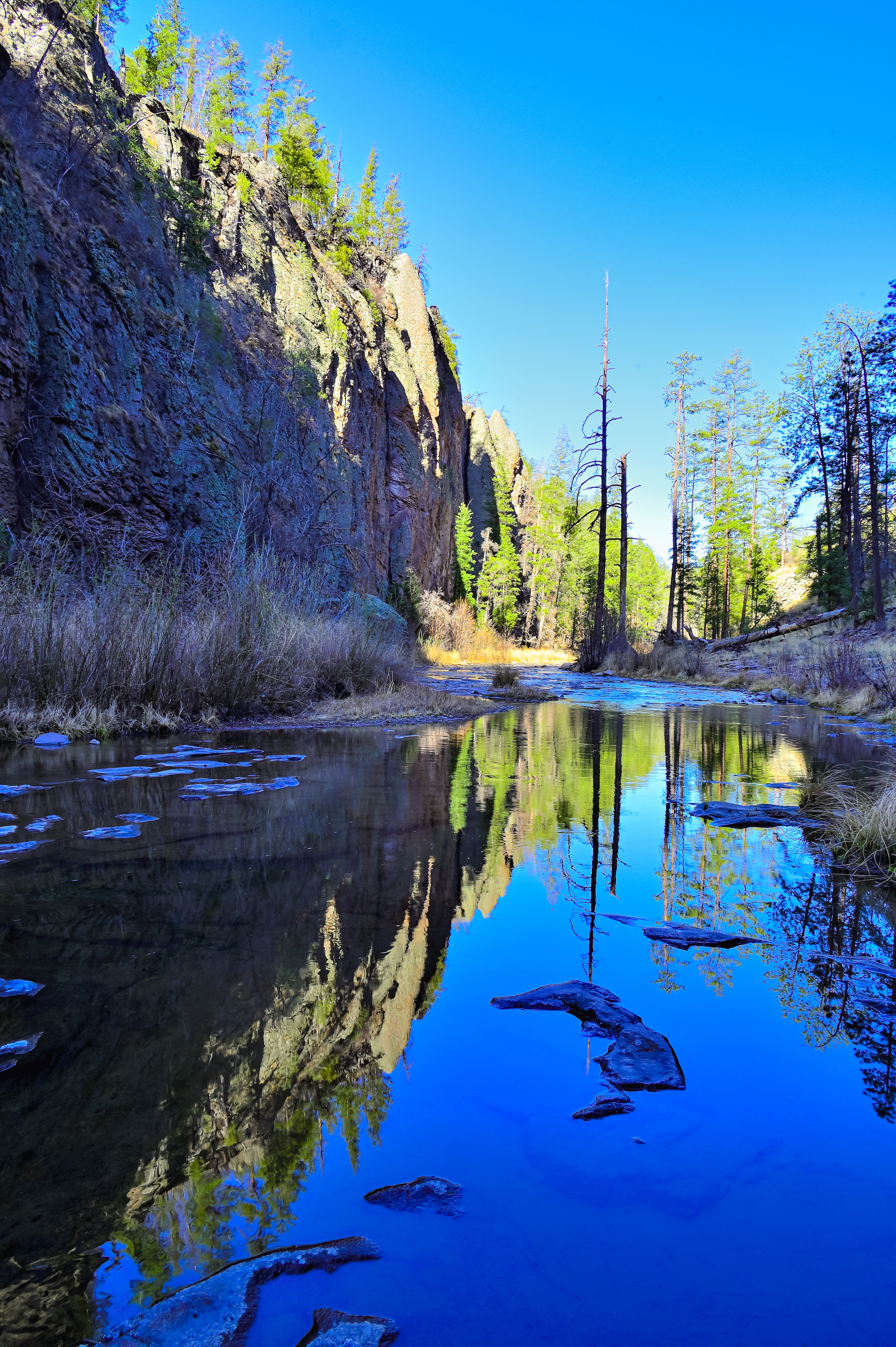 Reflections, Middle Fork Gila River, New Mexico