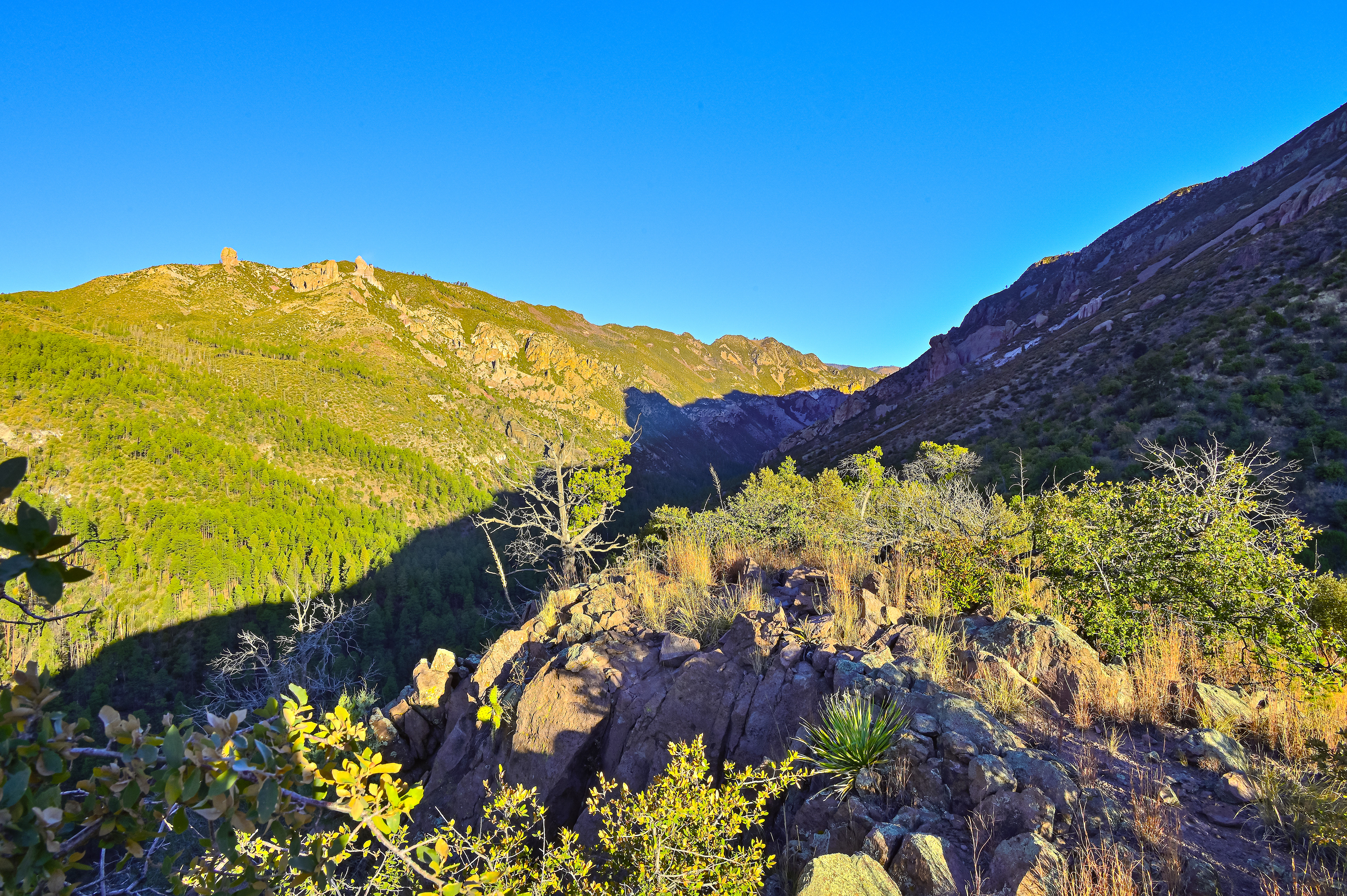 Morning in the Mogollon Mountains, New Mexico