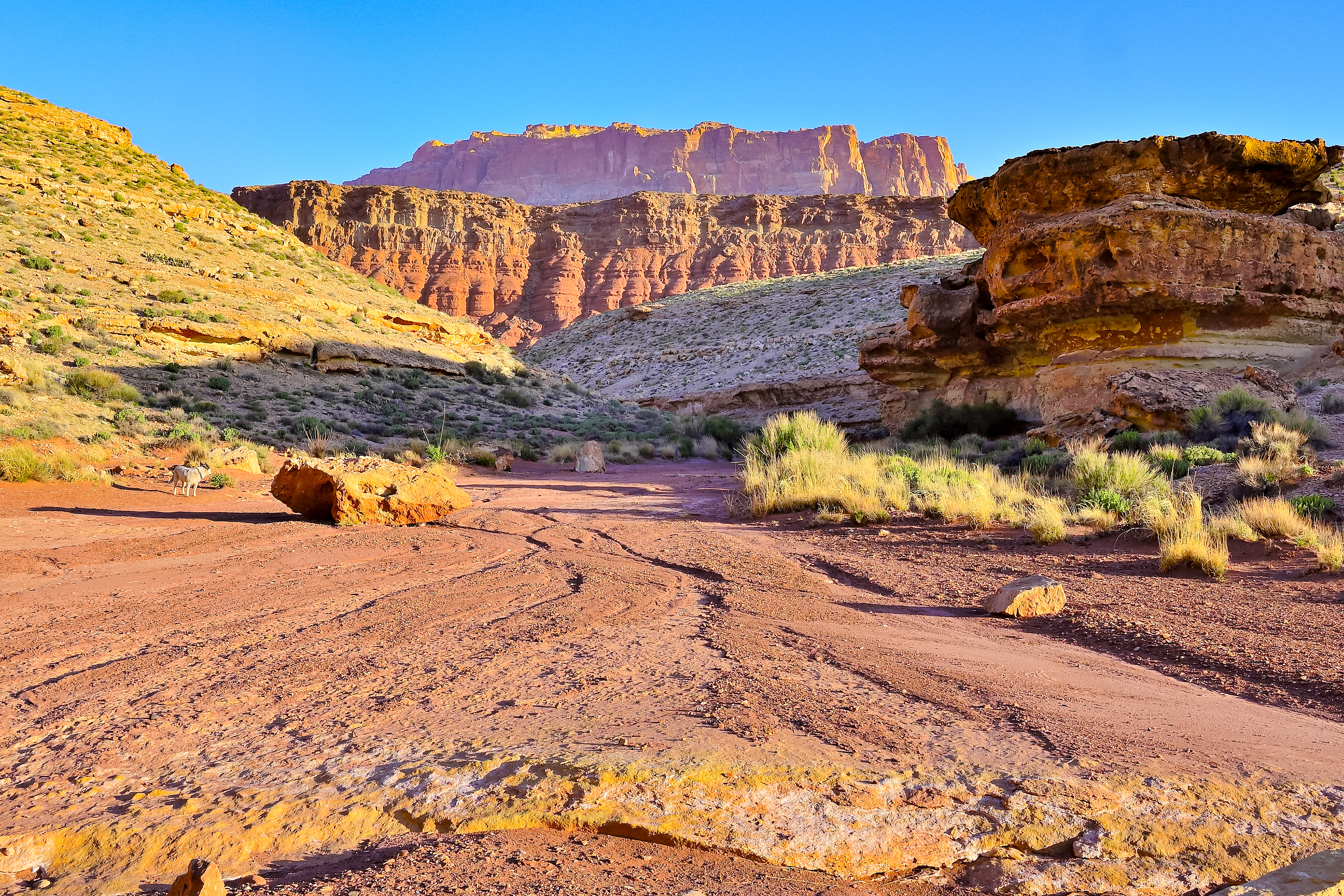 Vermillion Cliffs, Arizona