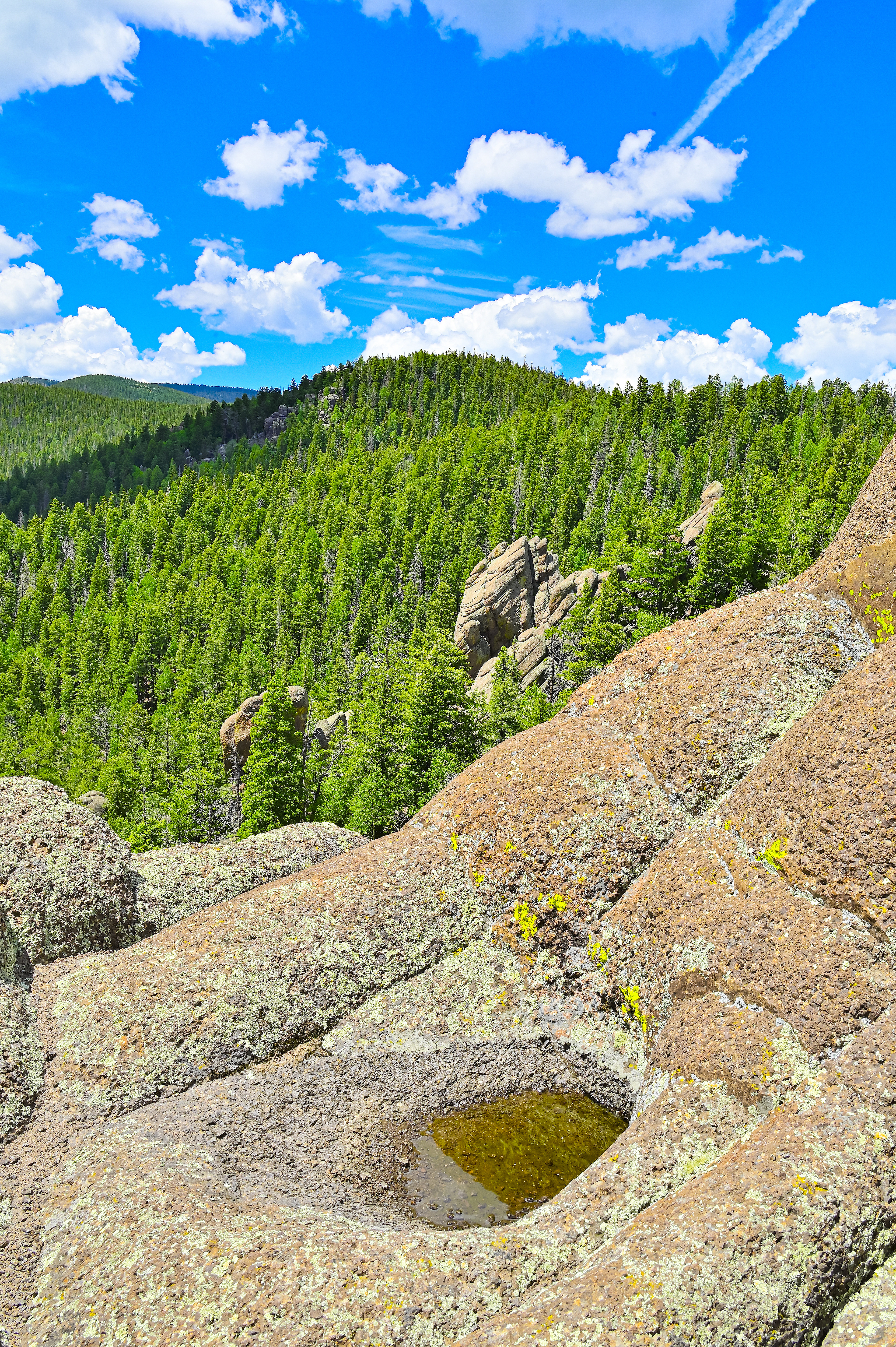 White Mountains, Arizona