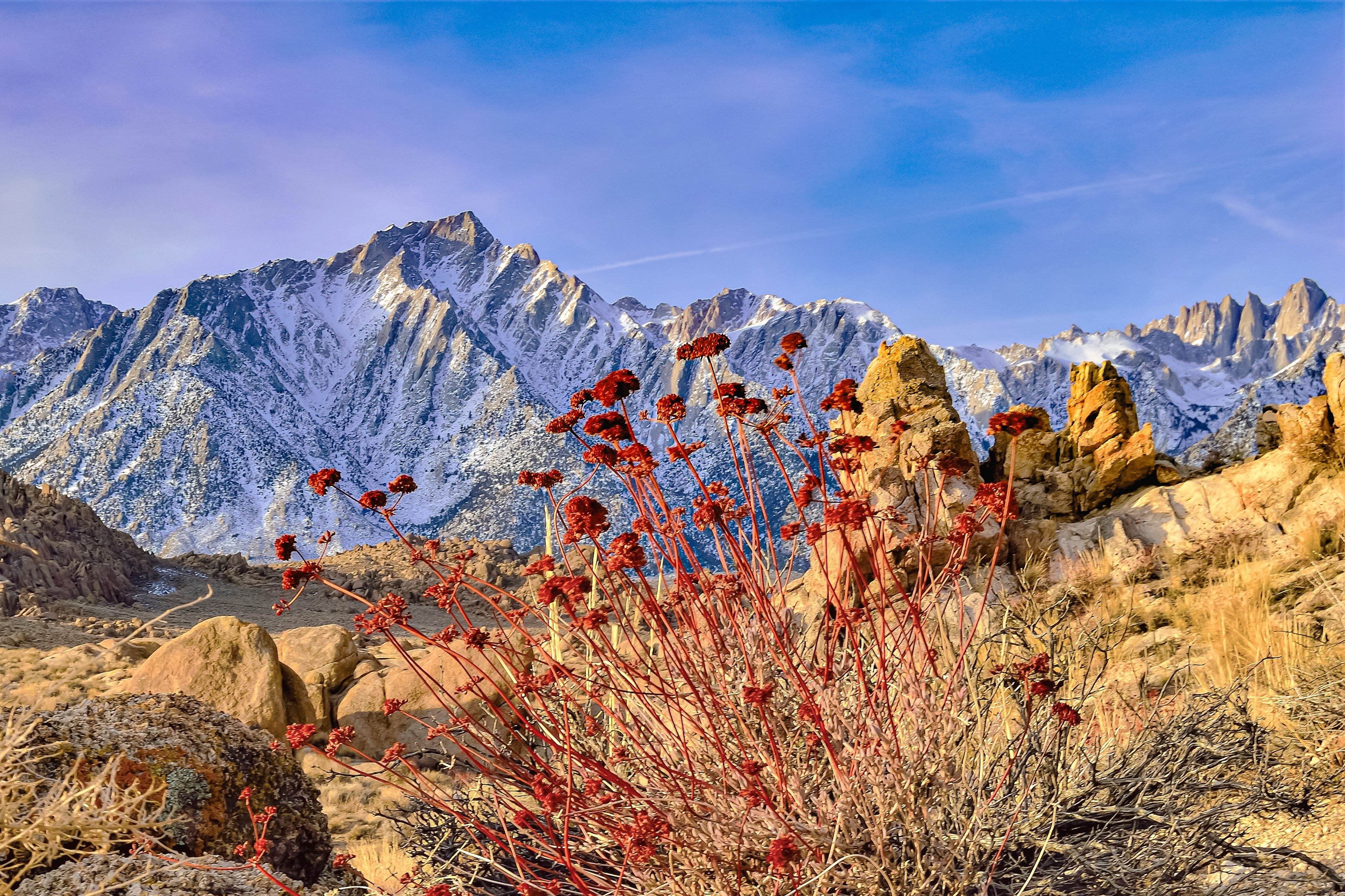 Lone Pine Peak and Mt Whitney, California