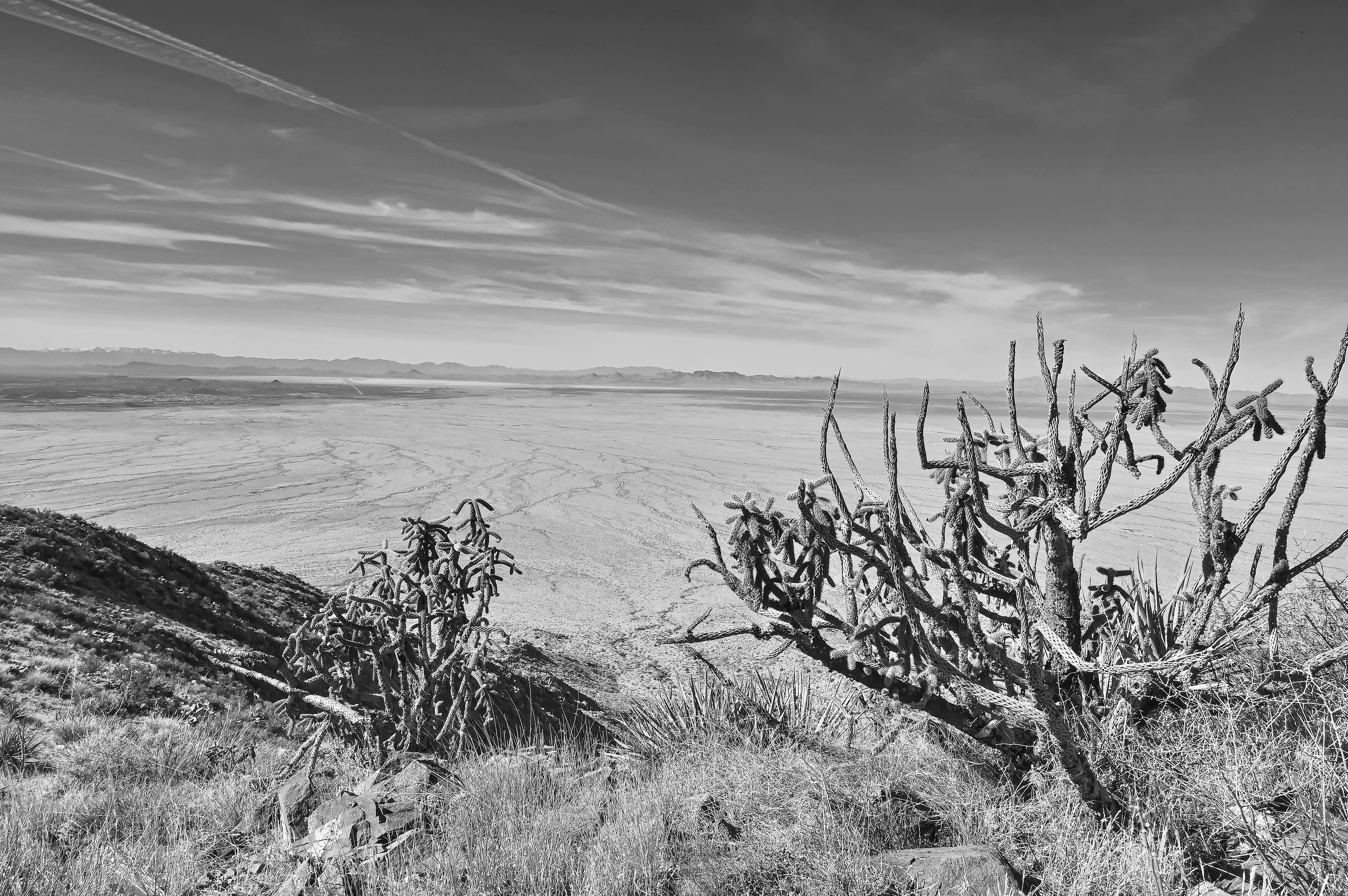 The View from Apache Mountain, Southwest New Mexico