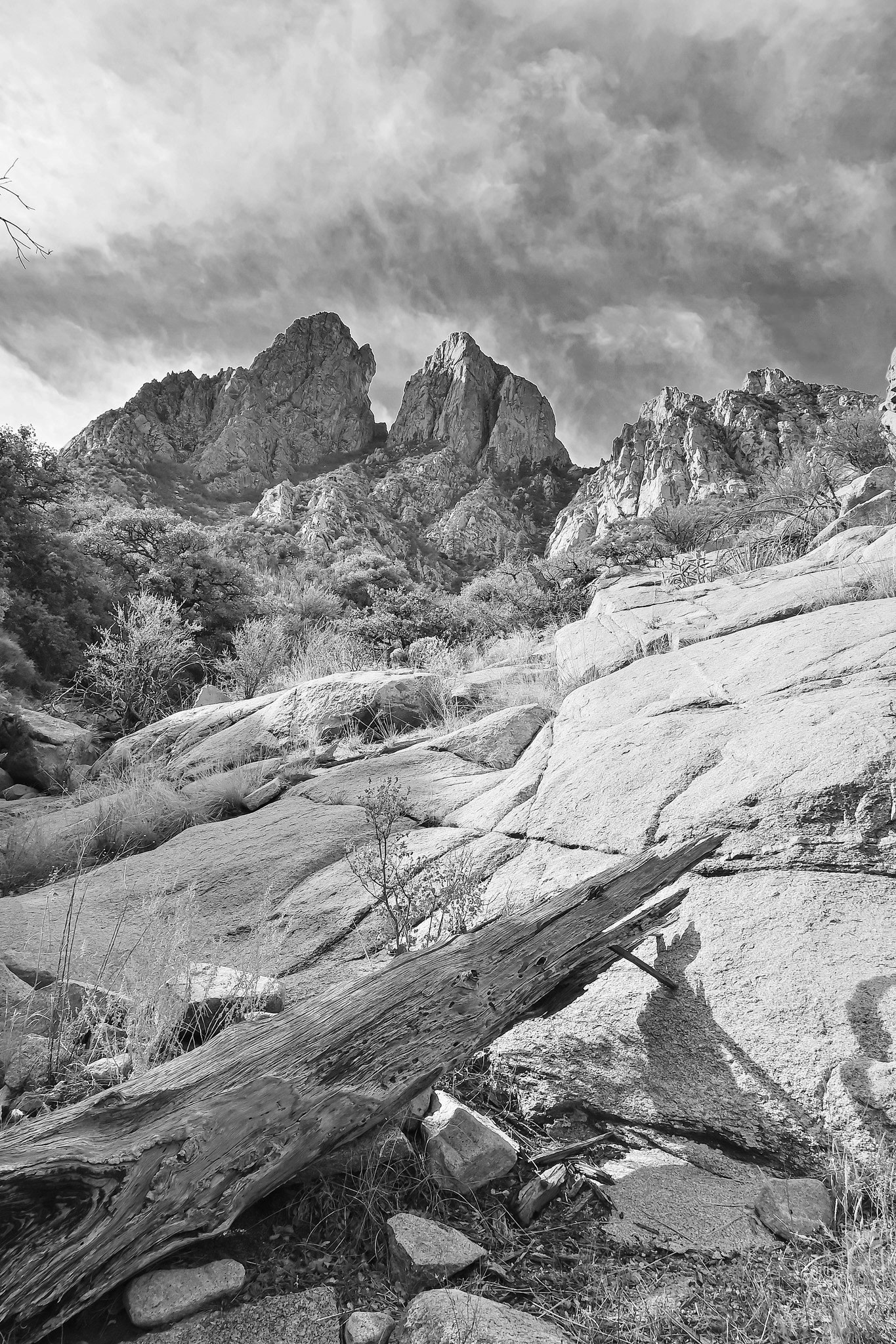 Organ Mountains, New Mexico