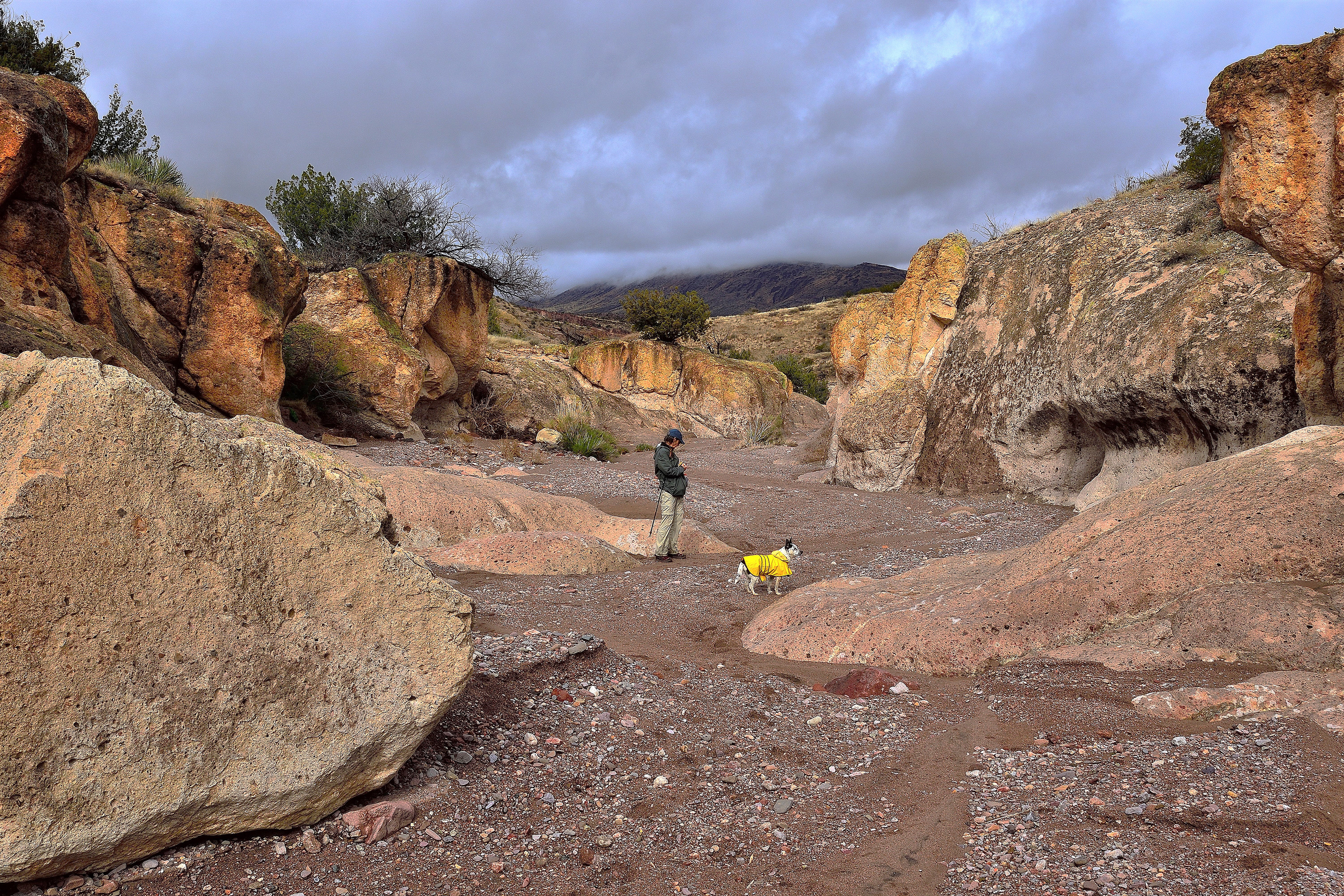 Lower Gila River Box, New Mexico