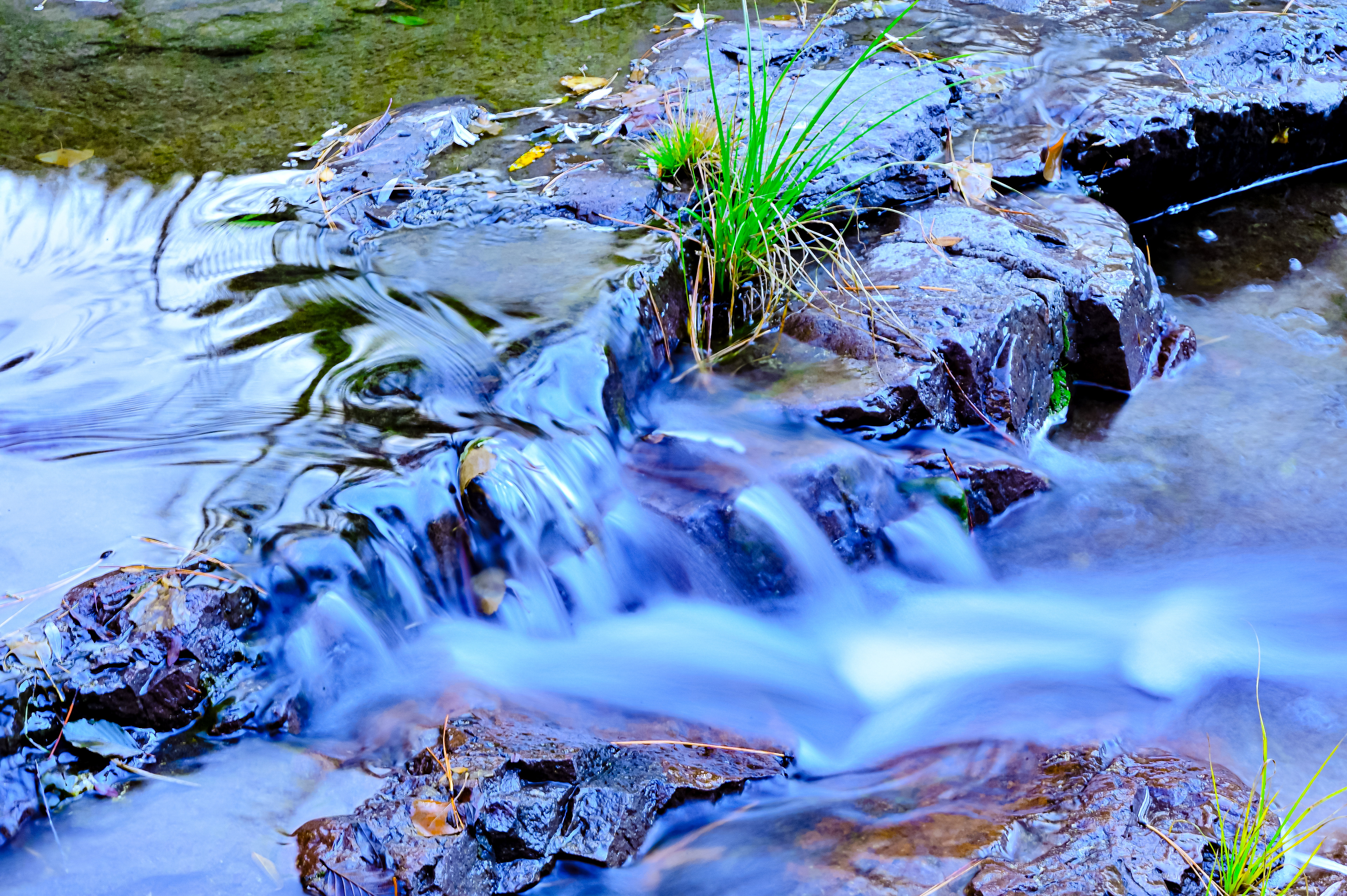 Mogollon Creek, Southwest New Mexico