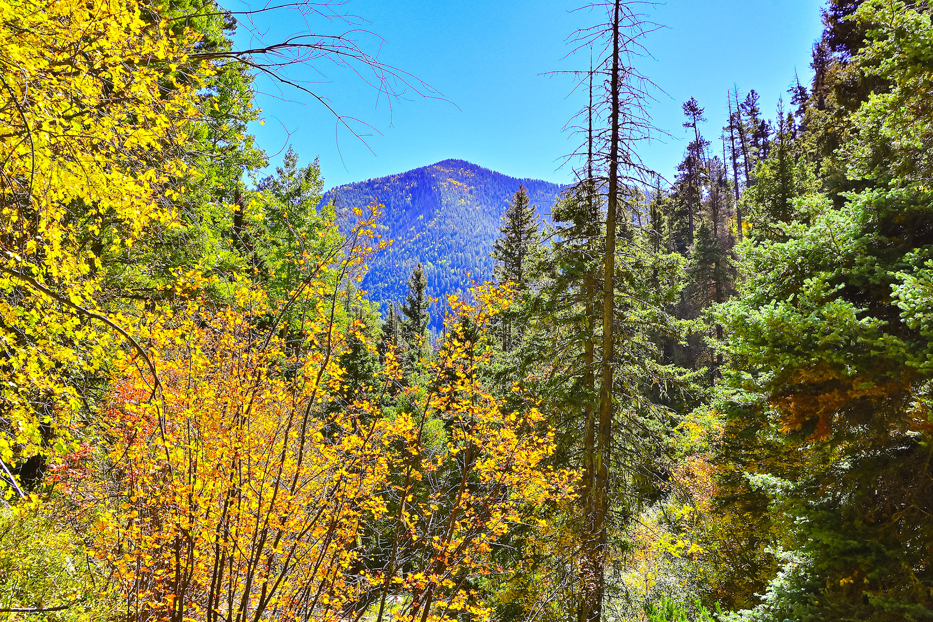 Italiano Canyon, New Mexico