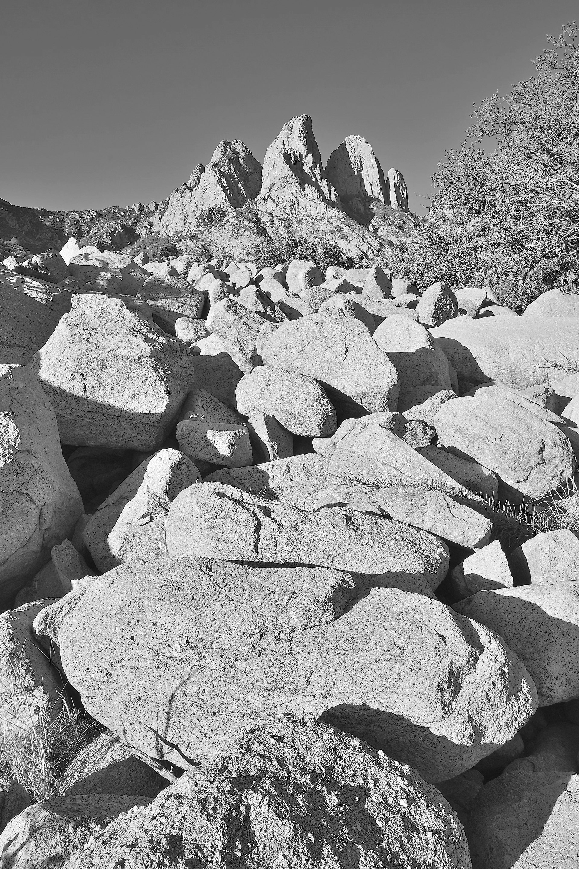 Organ Mountains, New Mexico