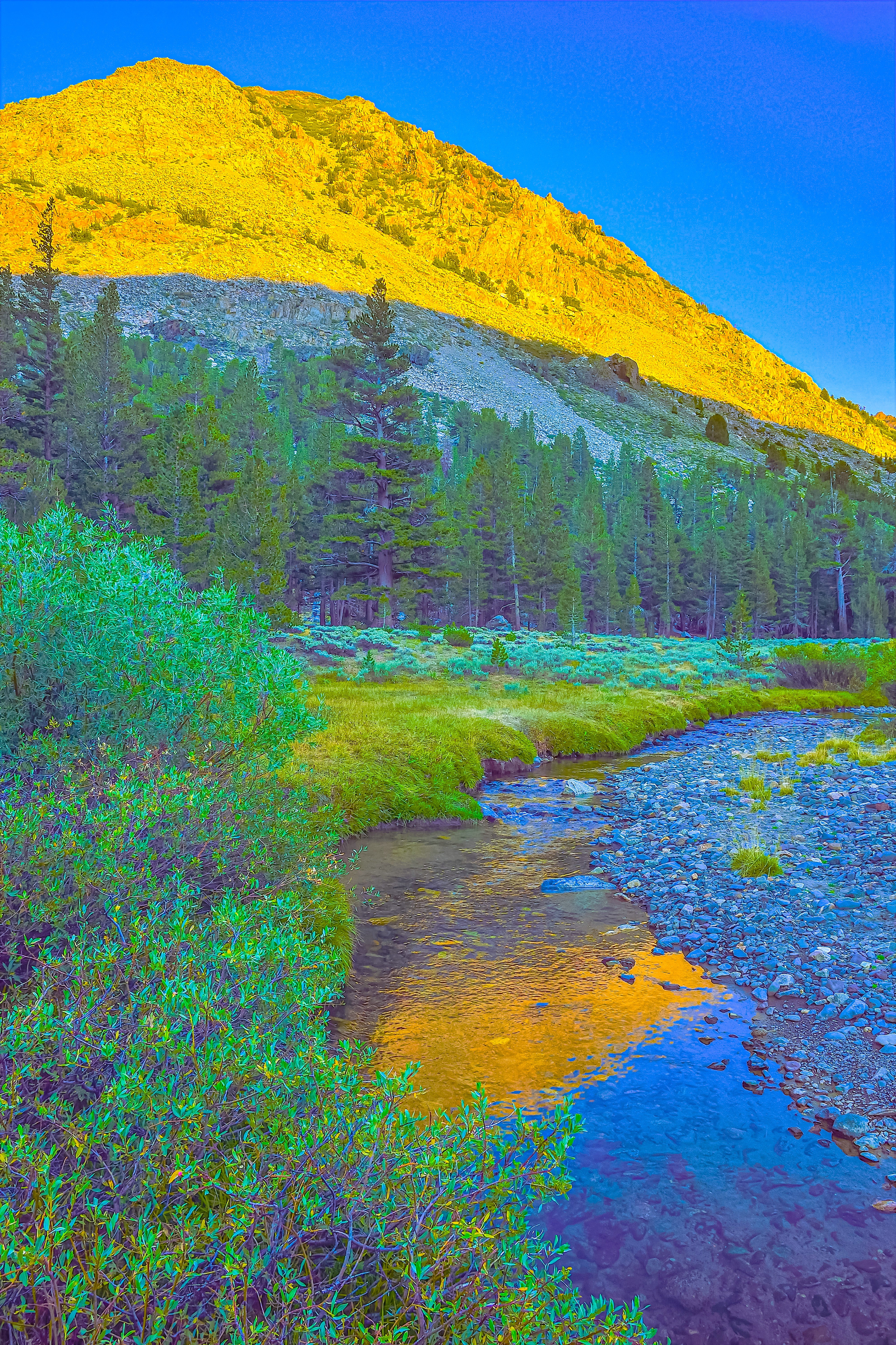 Little Walker River, California