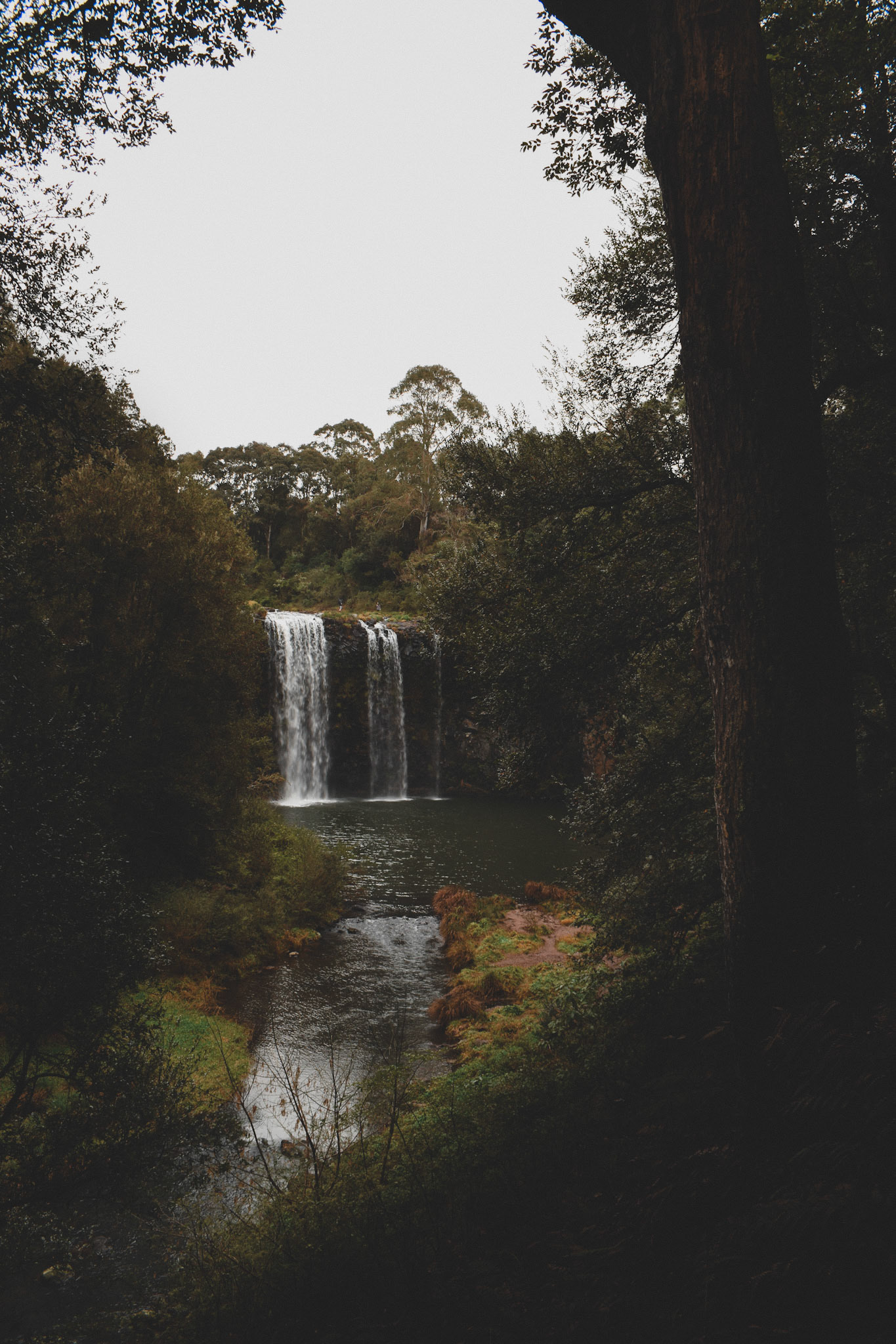 Dangar Falls