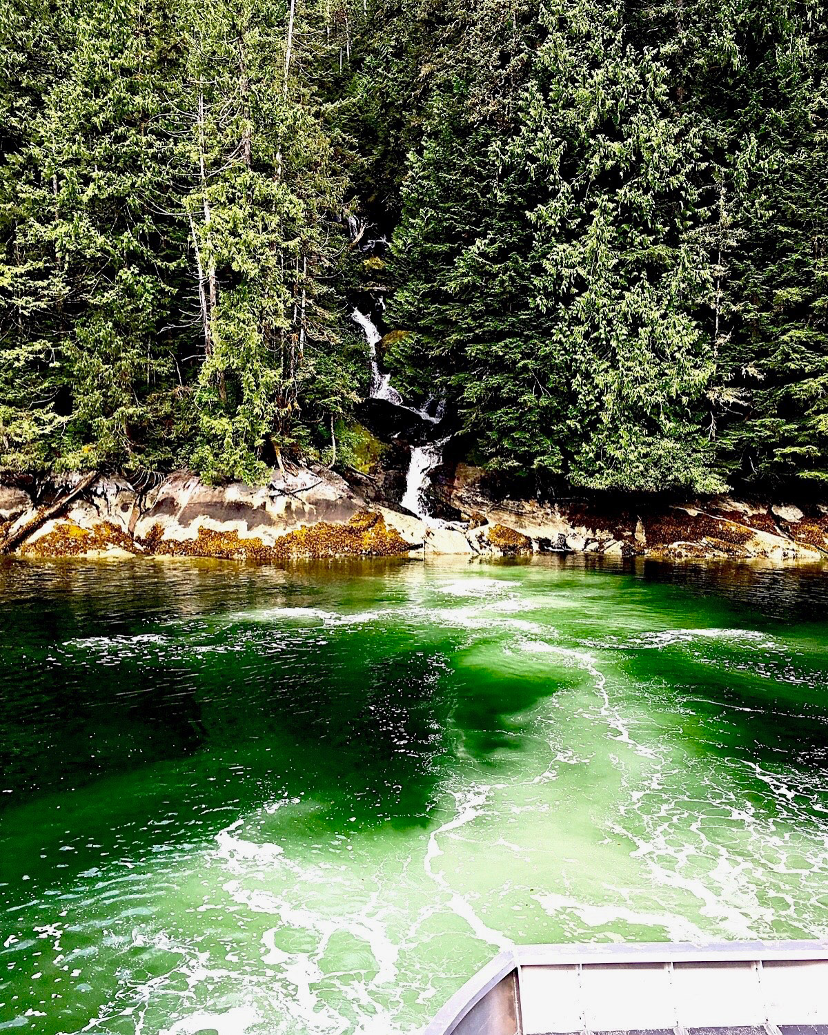 Capturing the essence of Alaska's beauty, this photo showcases the stunning emerald waters and towering trees.