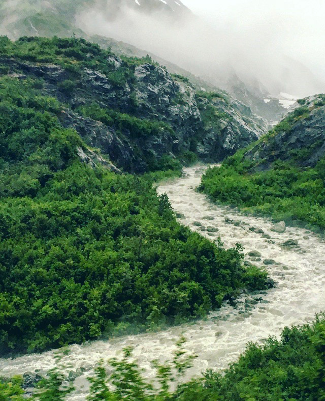 Captured through the window of a passing train during our Alaskan adventure, this photo encapsulates the untouched beauty of the landscapes we journeyed through. Each scenic view unveiled a world untouched by human hands, leaving me in awe at every turn.