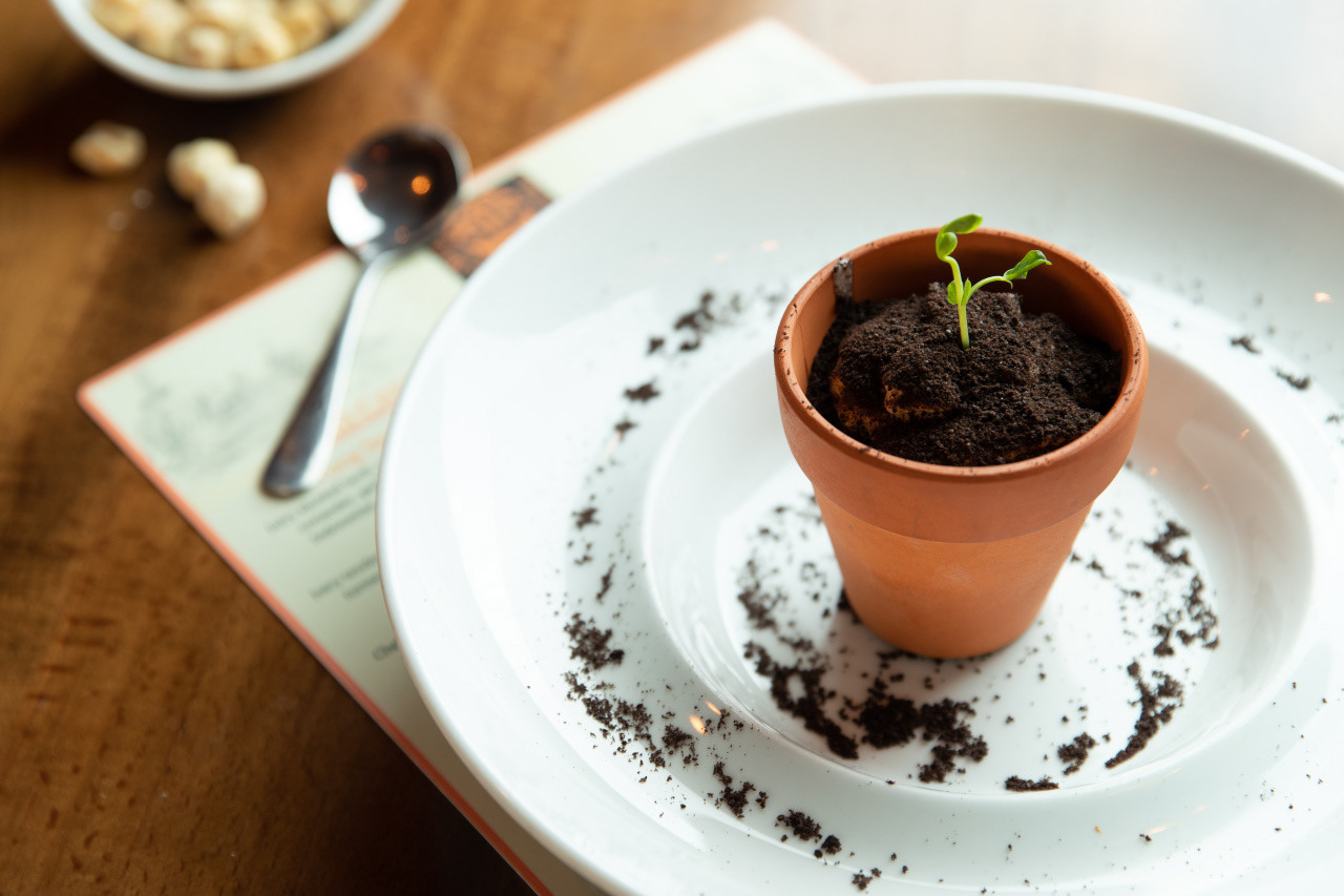 Their famous "Six Feet Under" dessert, which features an incredible avocado blend and a surprise at the bottom!
