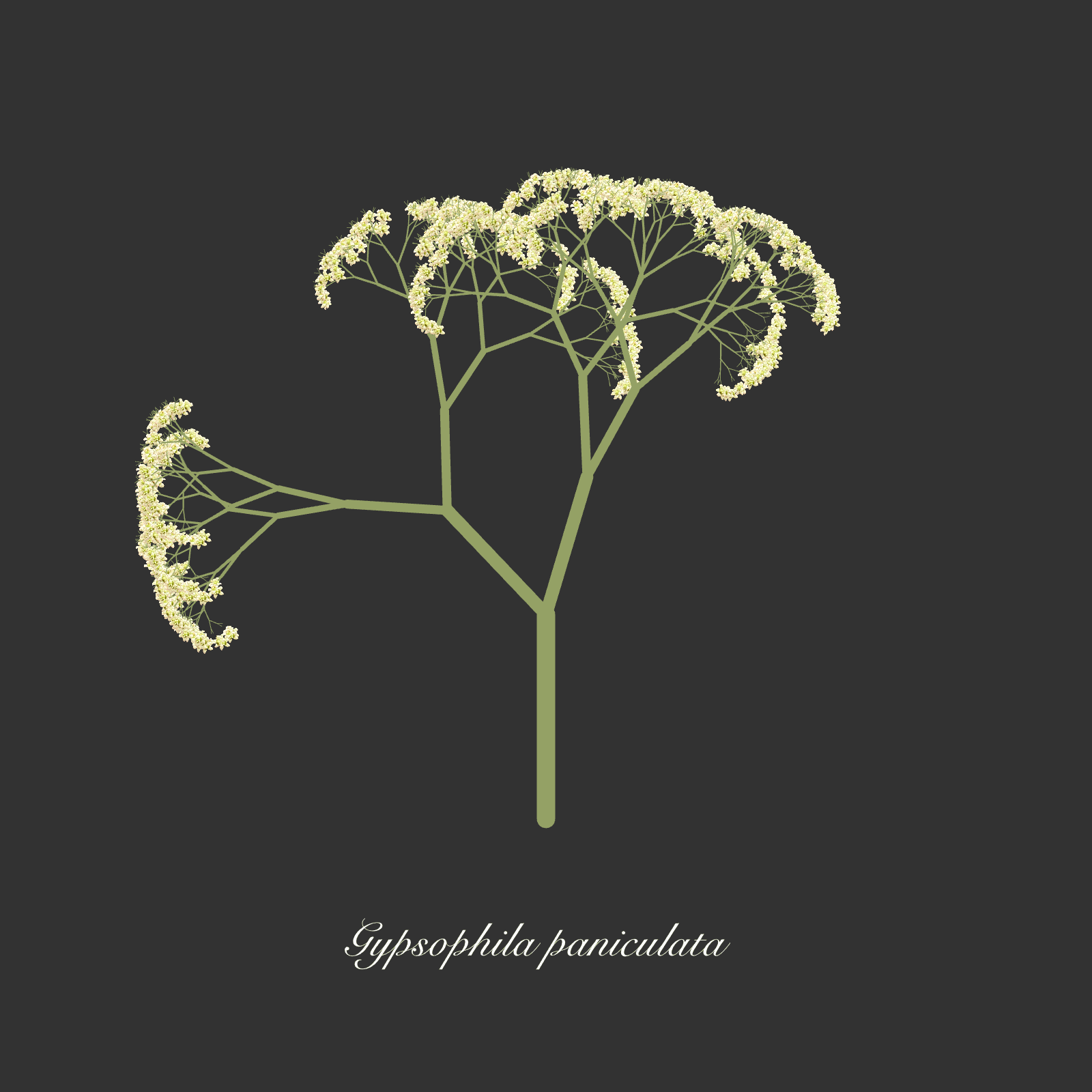 my favourite p5.js sketch