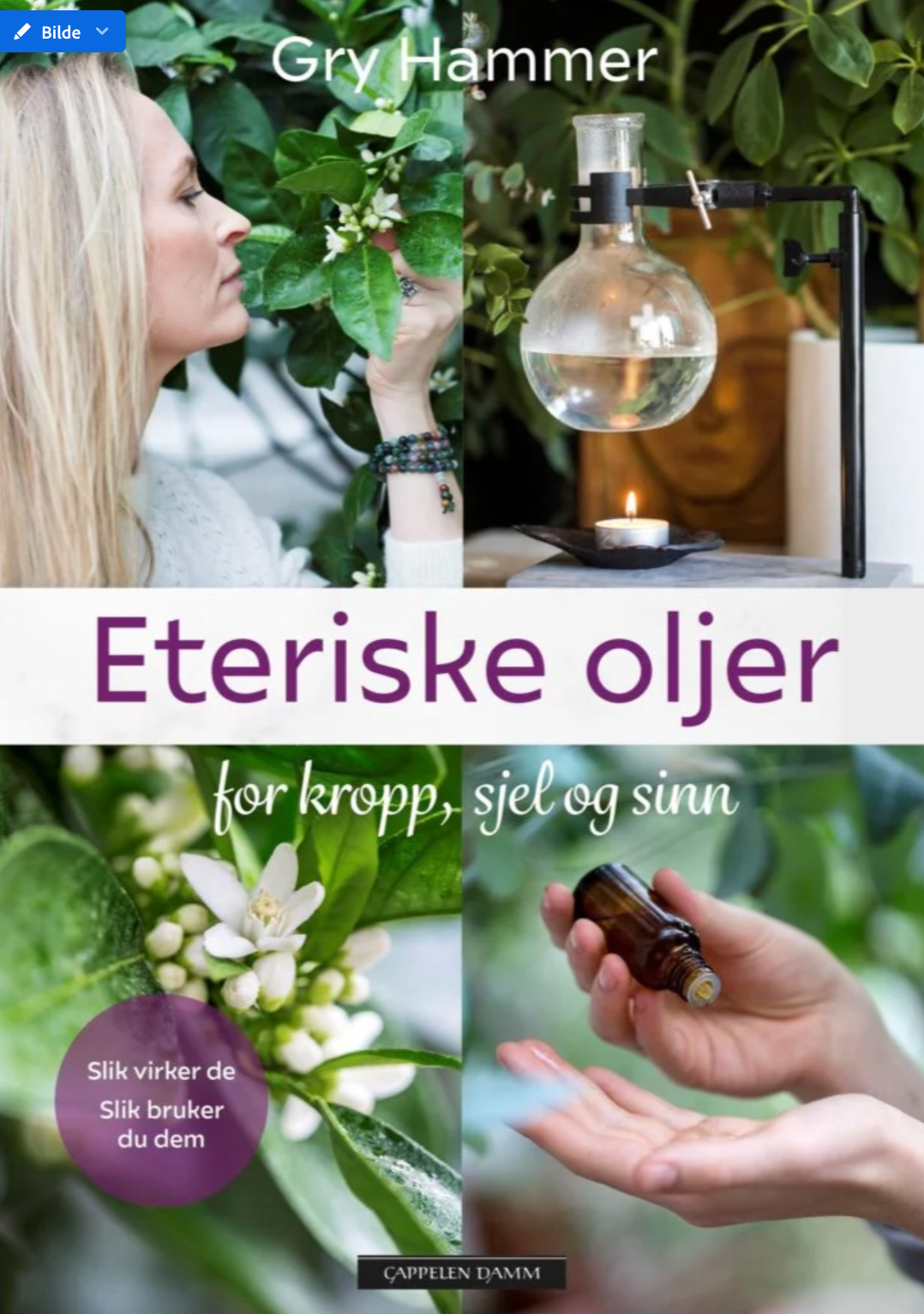 Bildetekst konne stått slikBildetekst konne stått slikBildetekst konne stått slikBildetekst konne stått slikBildetekst konne stått slik