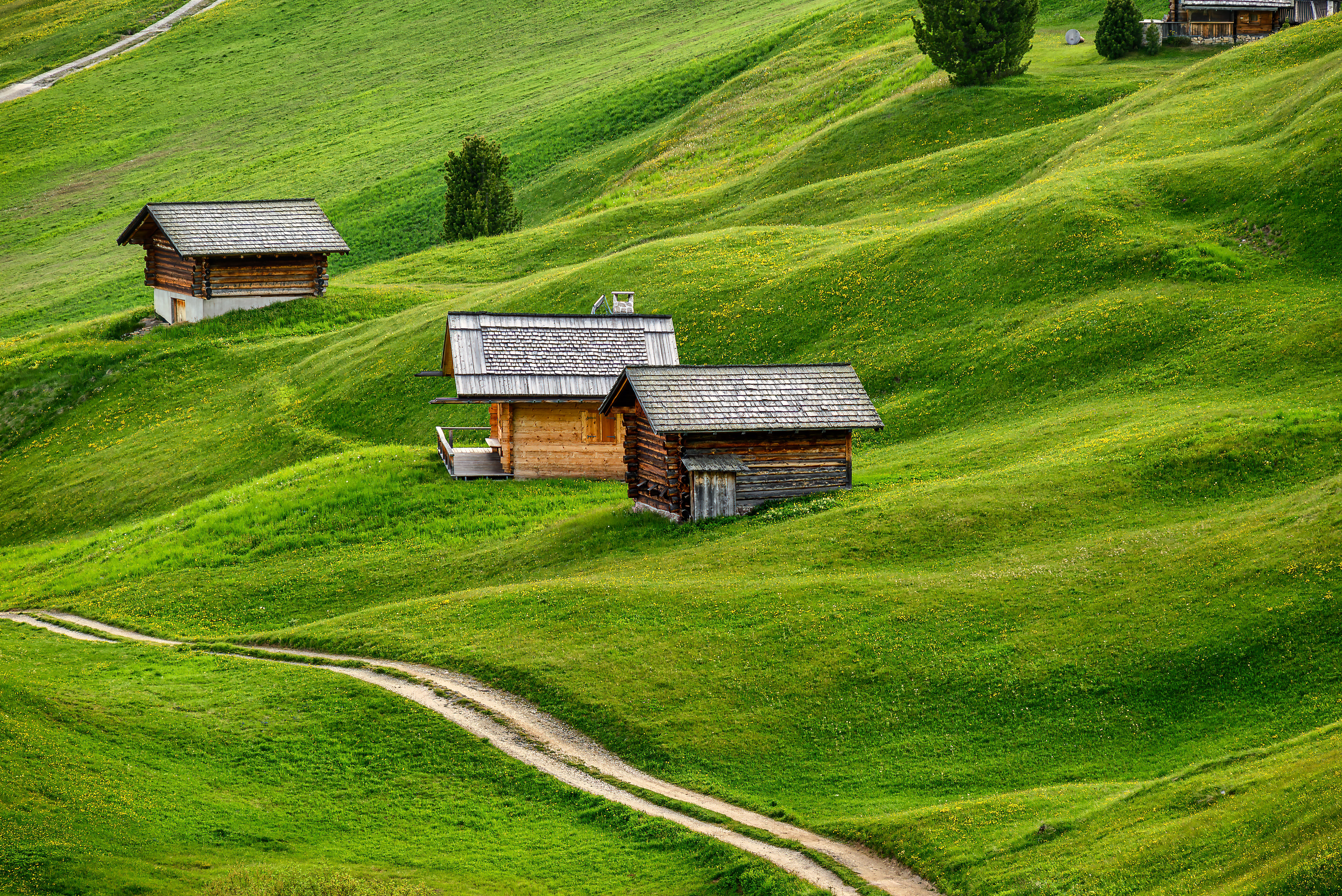 Wooden cabins on the grassy hillside
