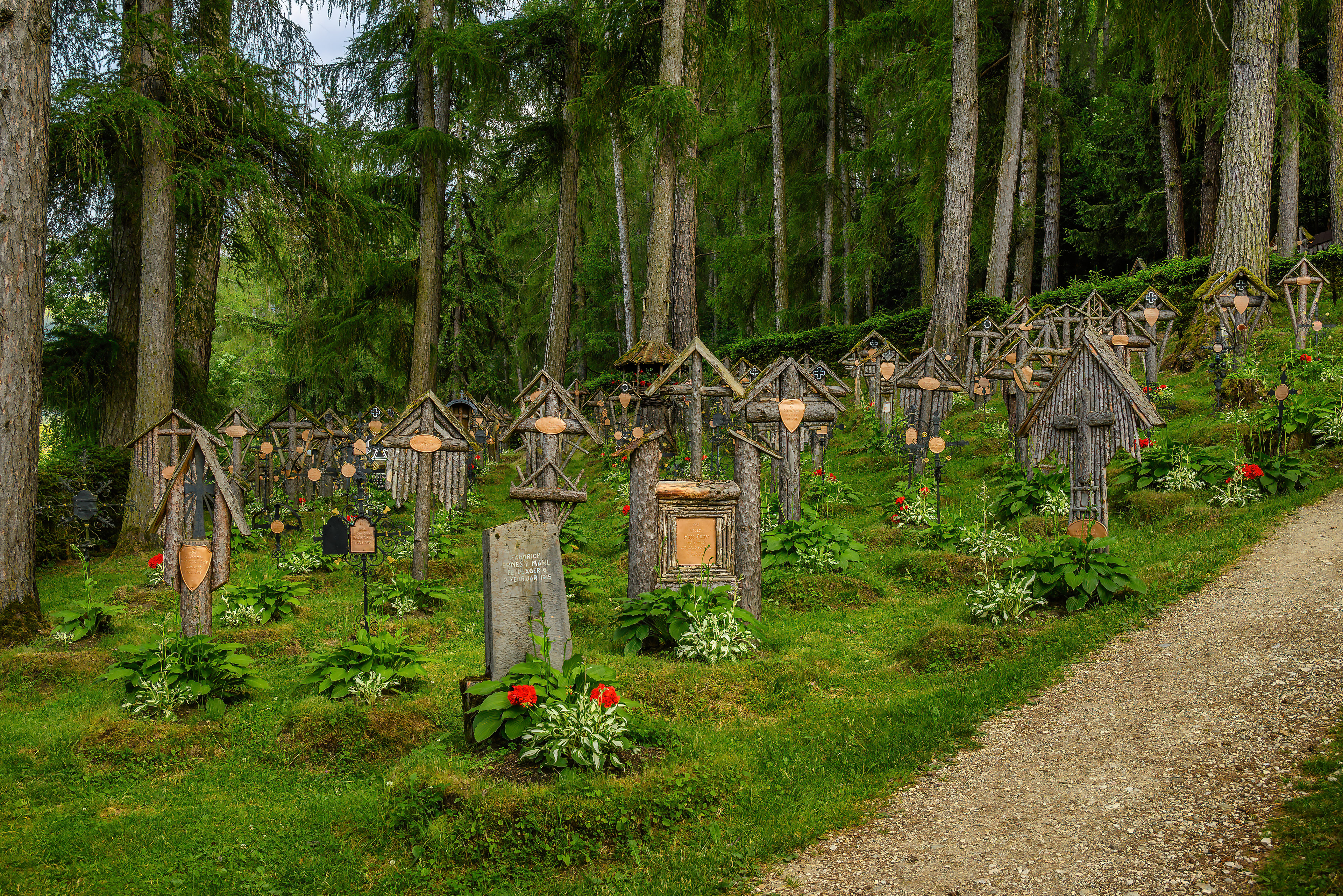 Head woods of the Soldiers' Cemetery in Brunico