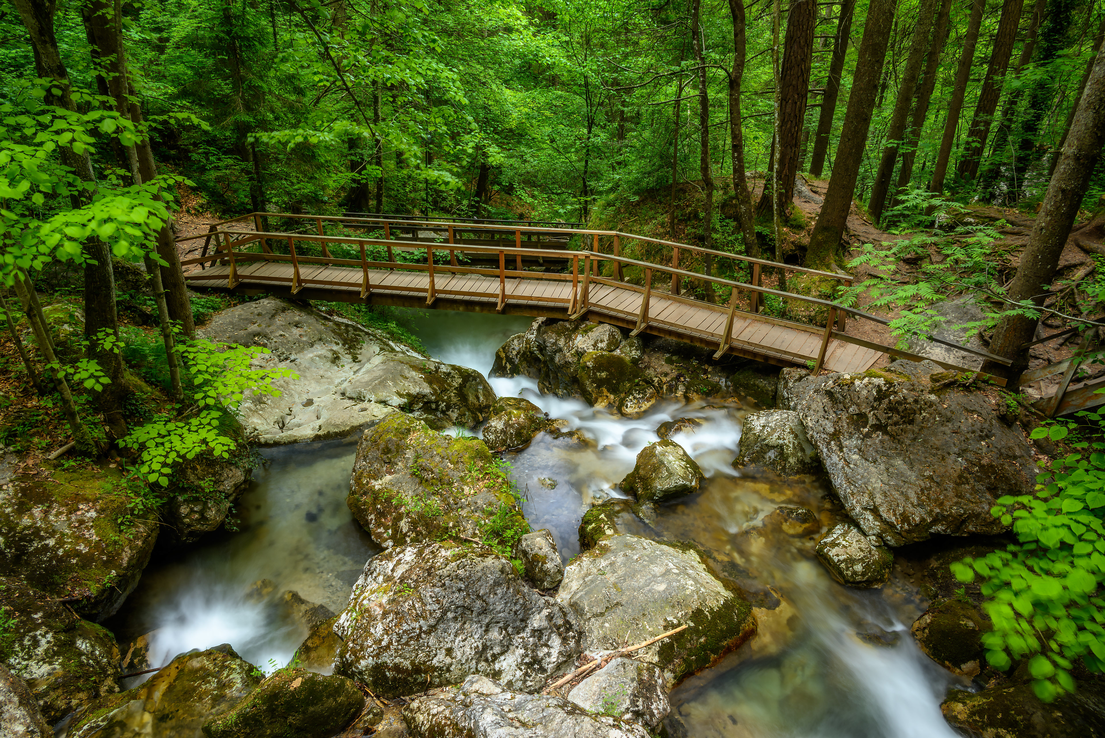 Myrafälle — Emerald Waters