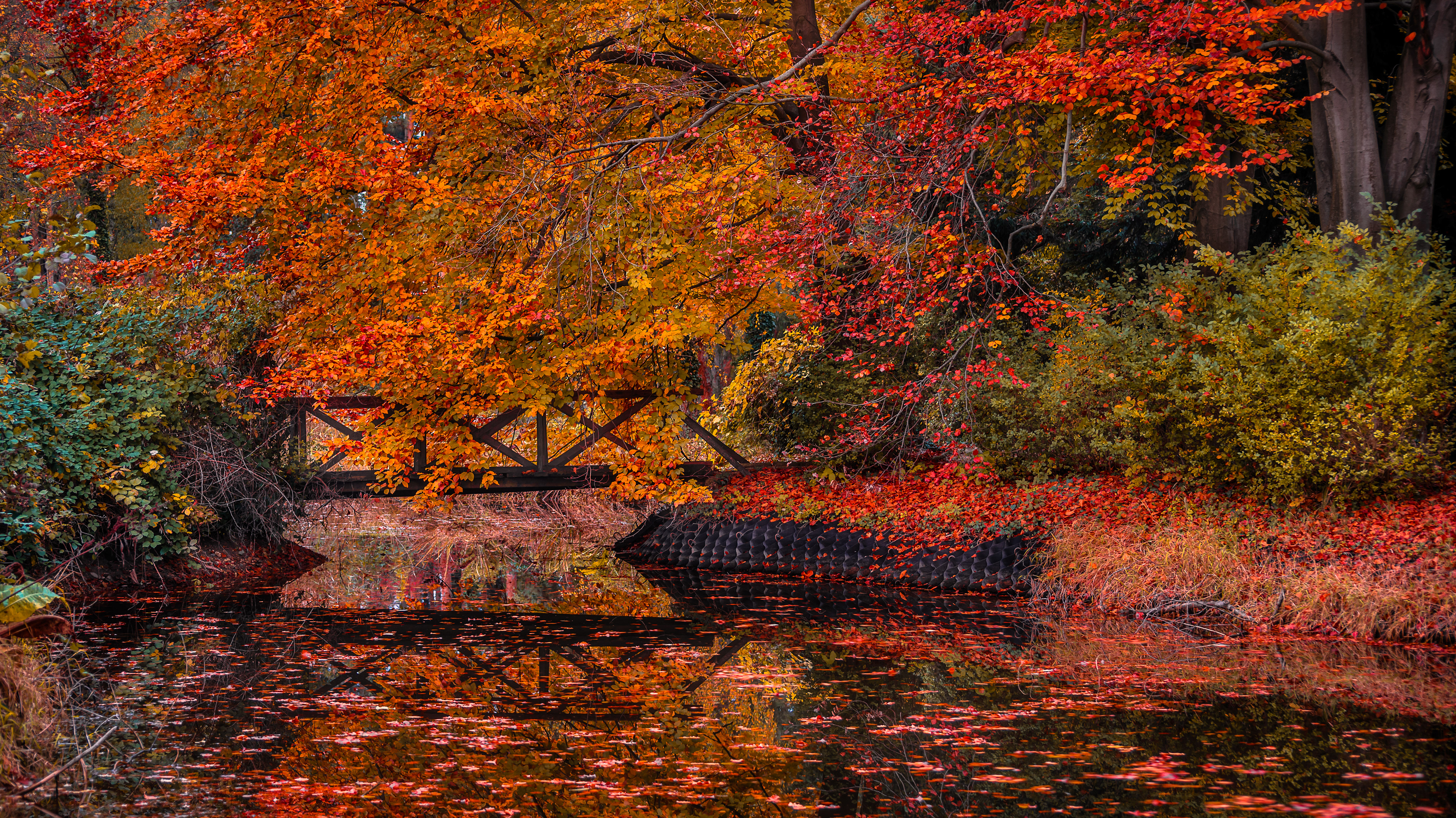 Autumn Reflections