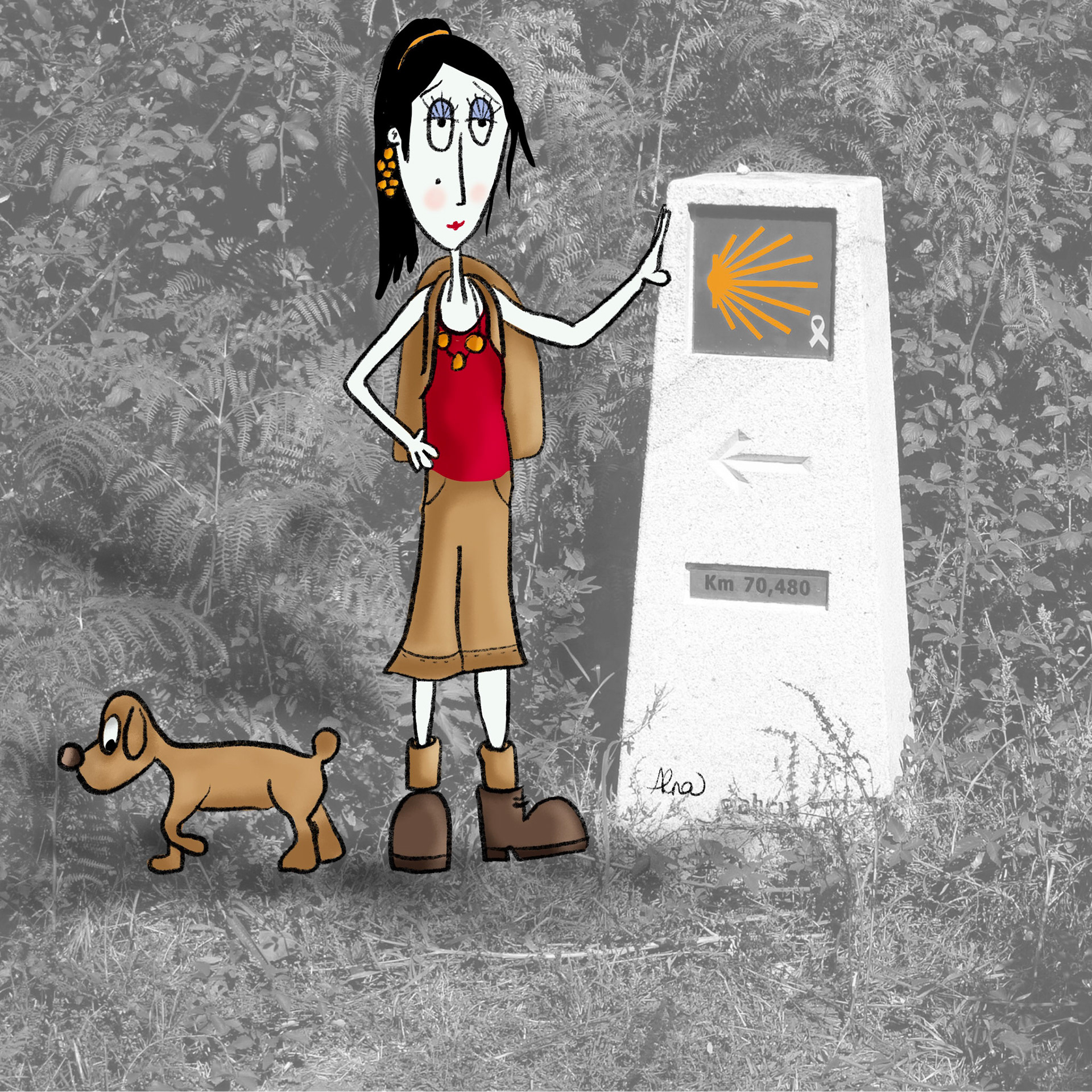 Camino De Santiago