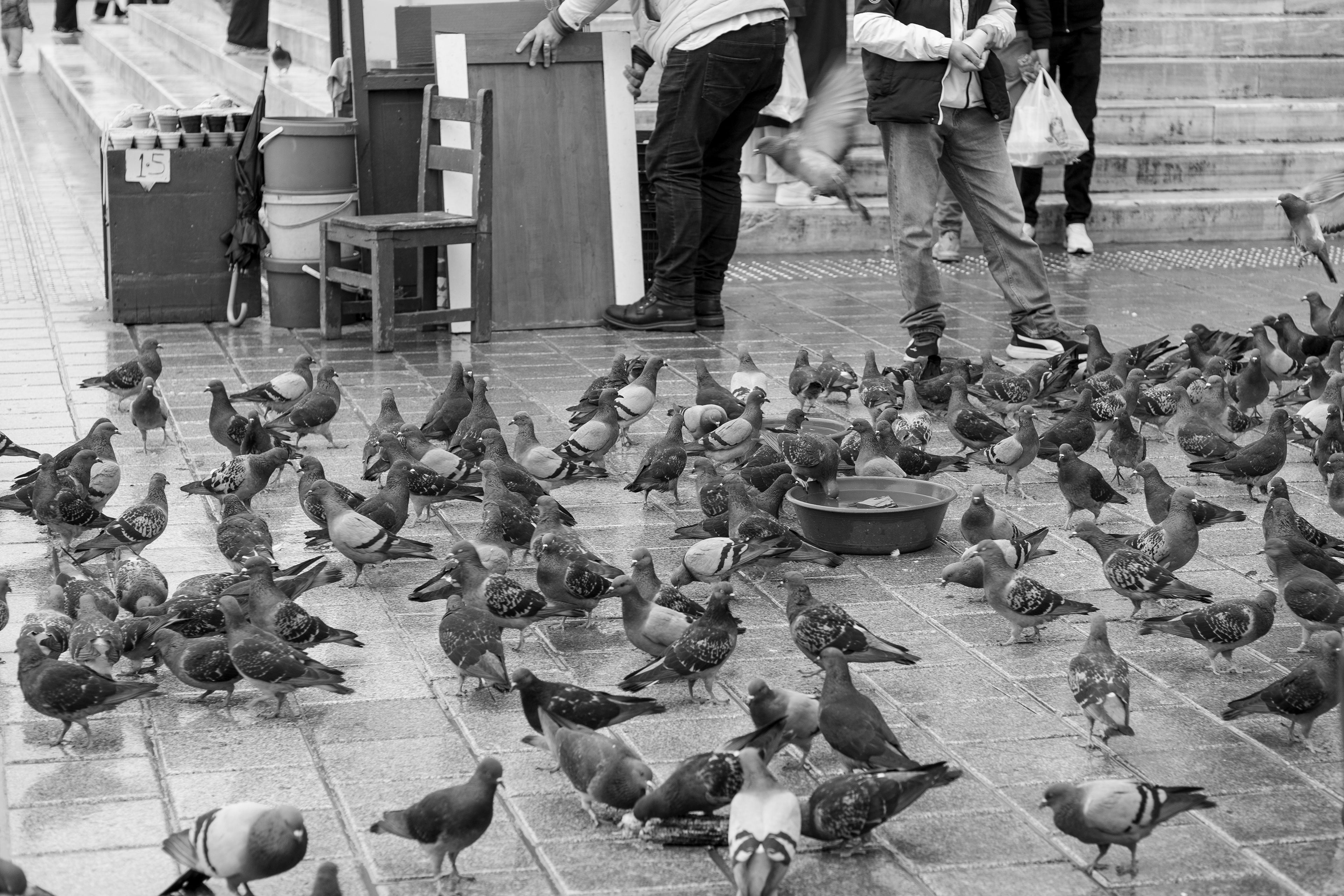 Istanbul, 2025