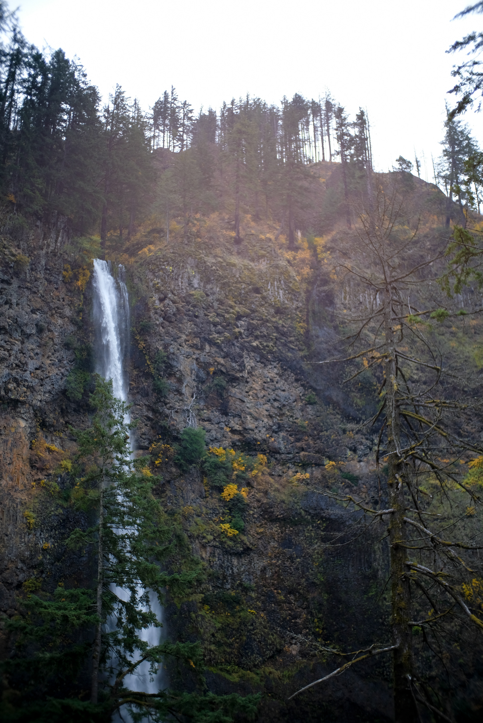 Oregon, 2024