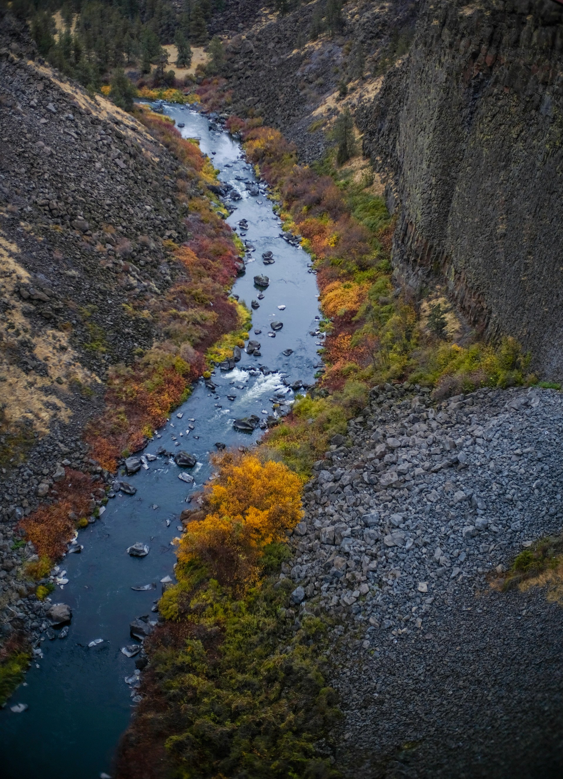 Oregon, 2024