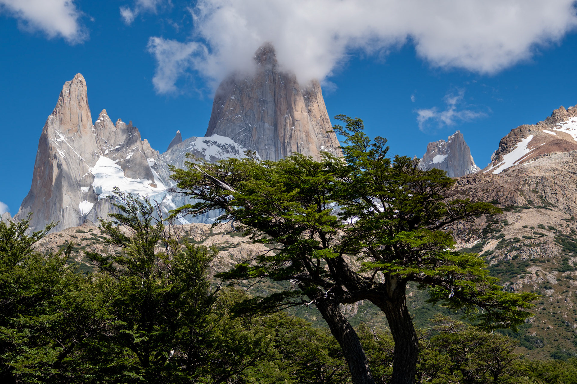 Argentine Patagonia, 2024