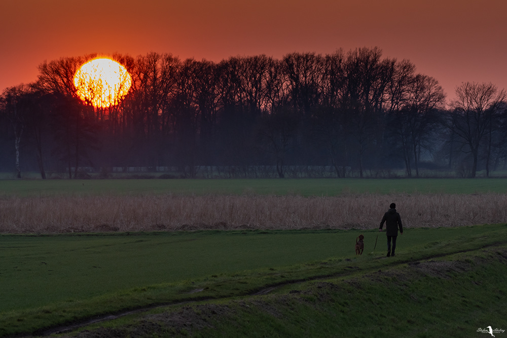 Spaziergänger mit Hund am Lüscher Polder