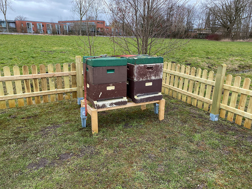 Die Bienen sind am neuen Stand angekommen
