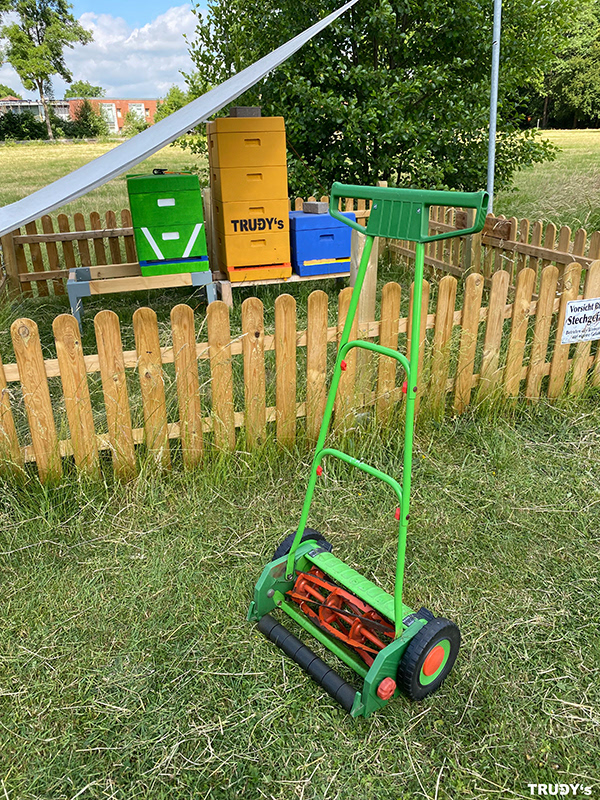 Rasenmähen am Bienenstand