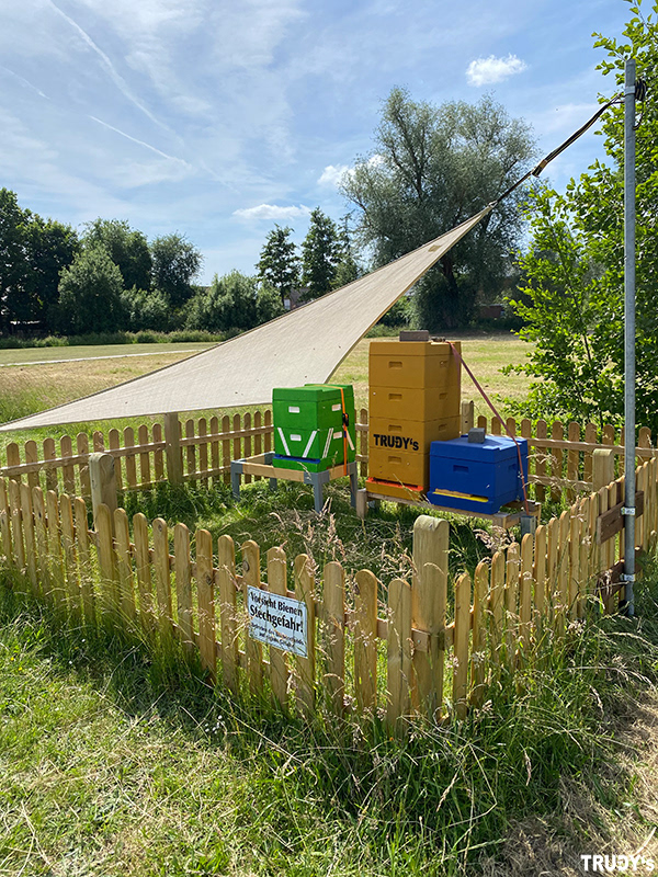 Bienenstand mit Sonnensegel - Sonnenschutz