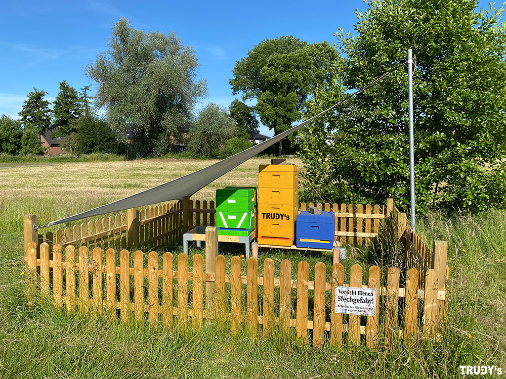 Bienenstand mit Sonnensegel / Sonnenschutz